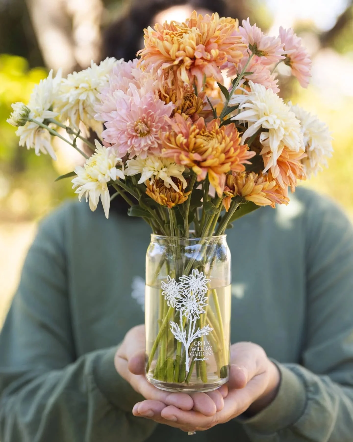 Grow Your Own Stunning Fall Mums 