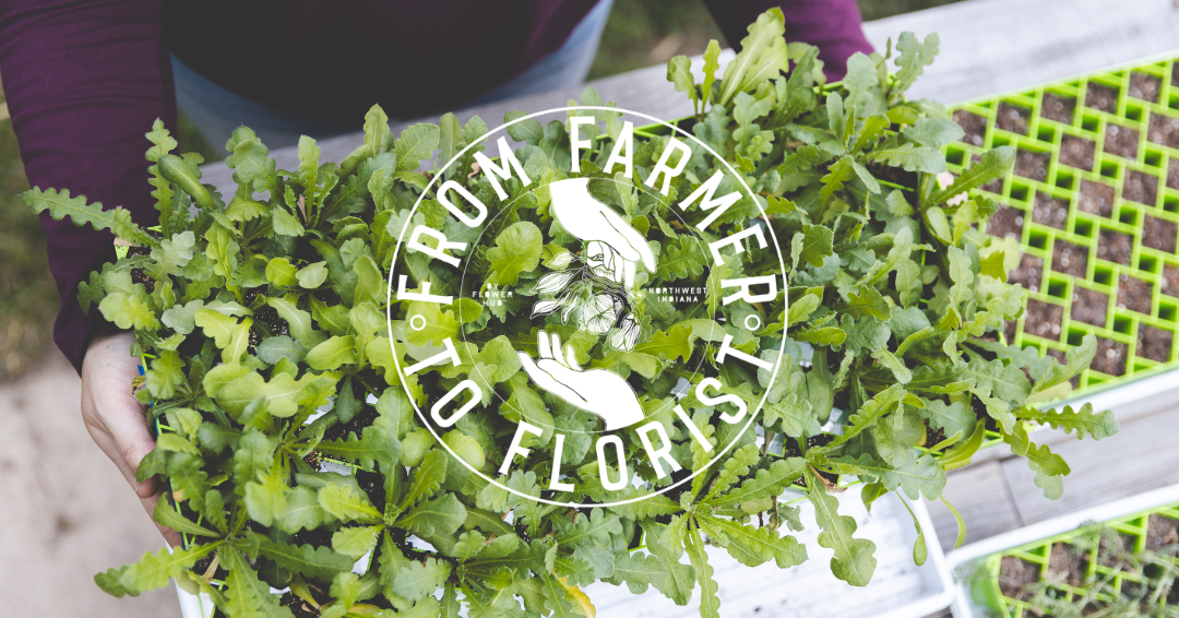 Exciting News: Green Willow Gardens Joins the NWI Flower Hub in 2025!