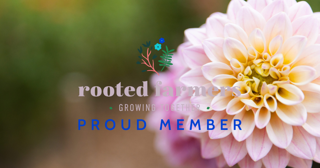Locally Grown, Designer-Approved: Shop Our Flowers on Rooted Farmers