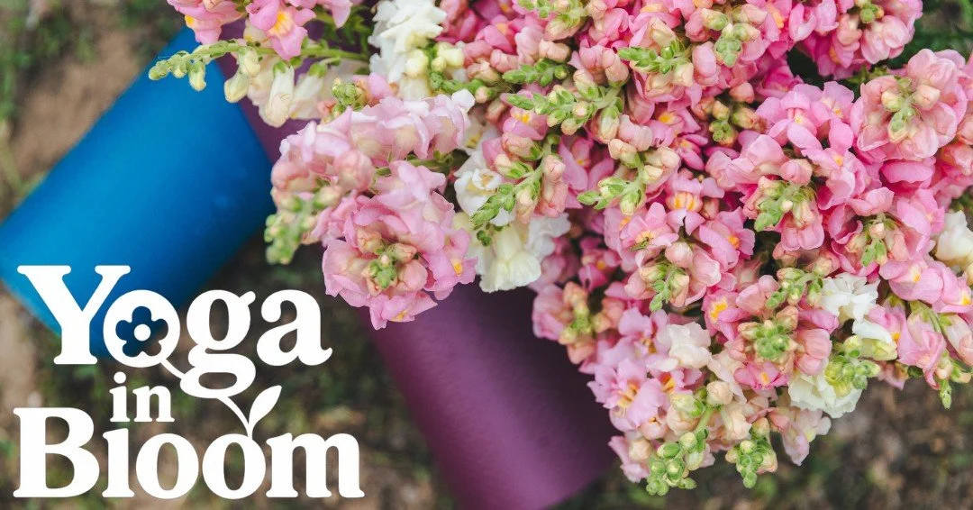 Yoga in Bloom