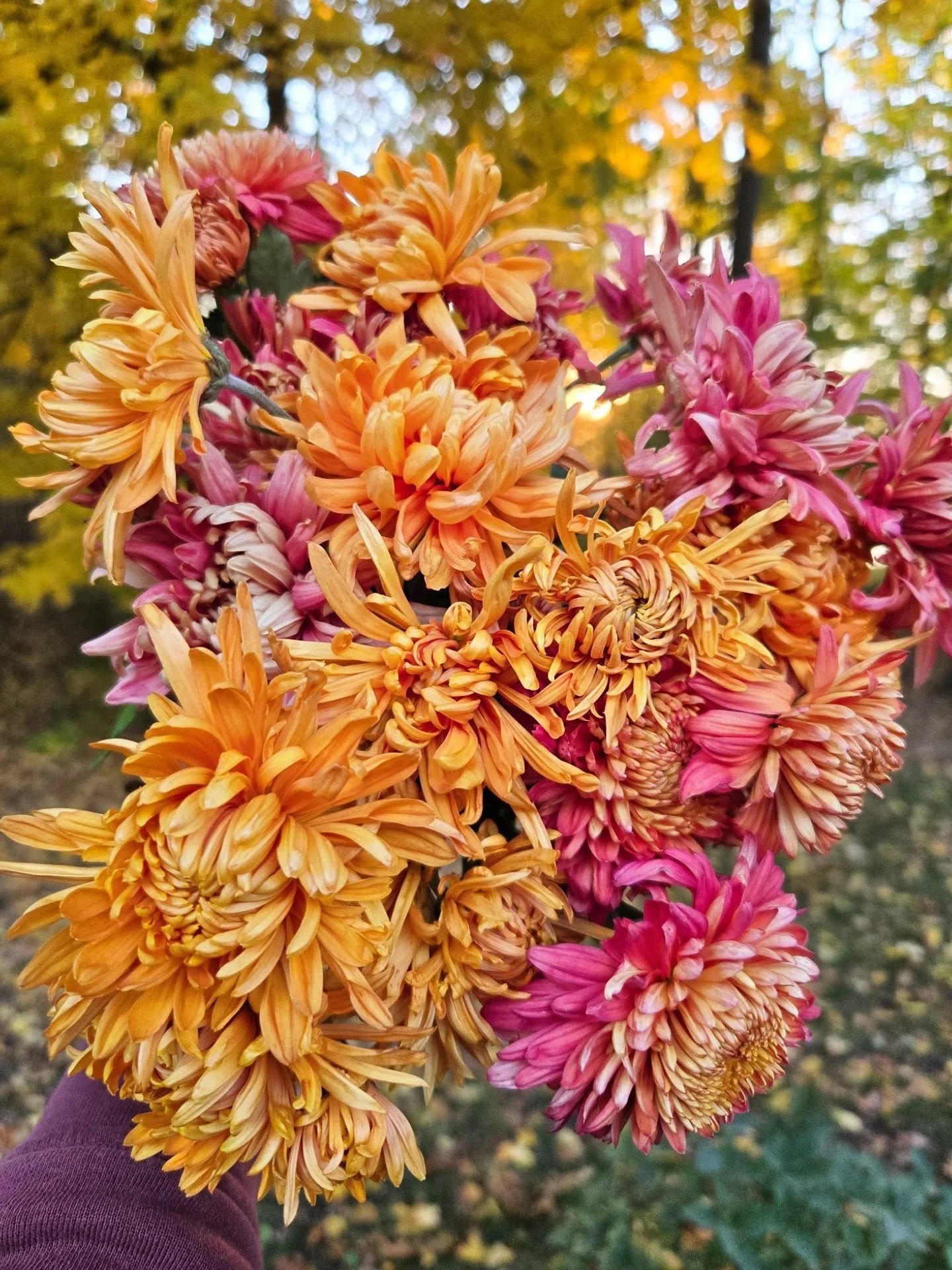 One of the best things about Fall. Besides the donuts.