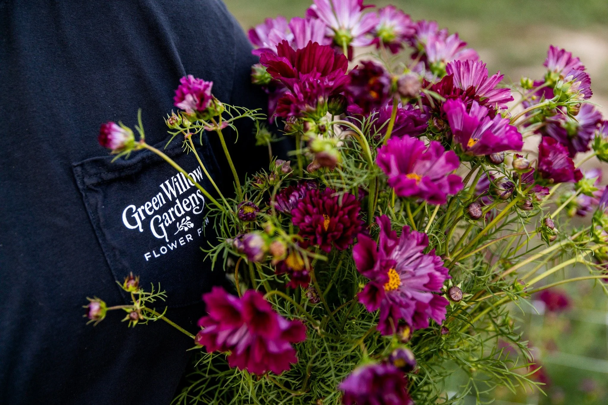 Email friends, check your inbox! You have the best offer for our 2026 Flower Subscription and it ends soon.

Not on our email list yet? You can subscribe on our website if you would like to get in on it.

📷 @rachelevelynphotography