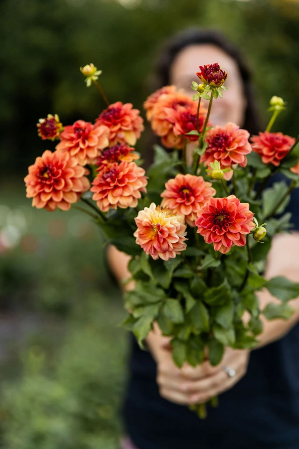 GreenWillowGardens_Fall2025-109.jpg