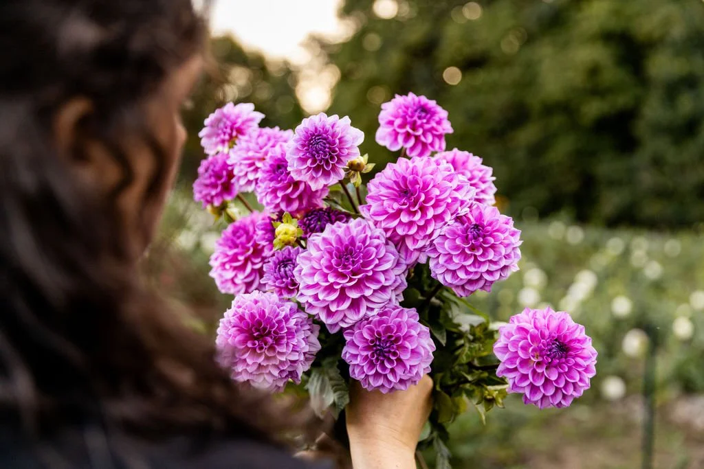 A Look Back at Our Fall Photoshoot with Rachel Evelyn Photography
