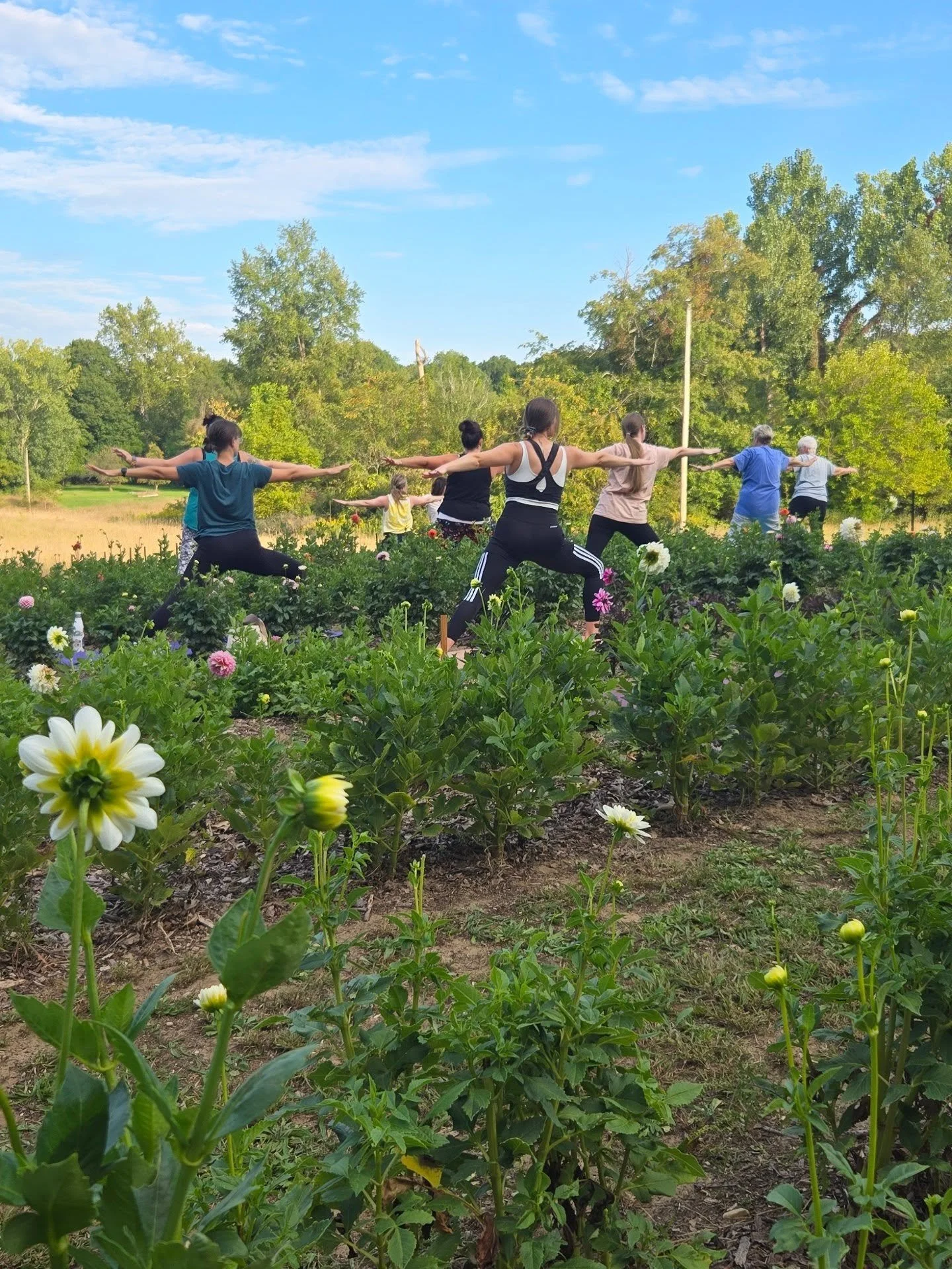 green willow gardens eleven eleven yoga 1.jpg