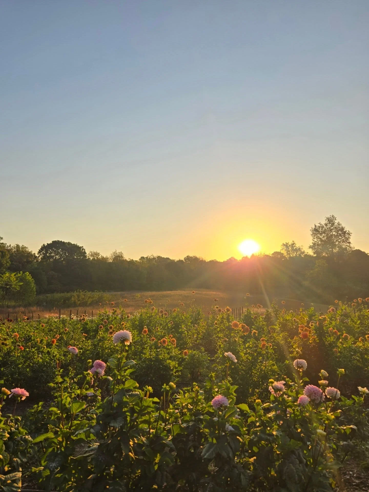 Ignoring the current weather and looking ahead to views like this instead.