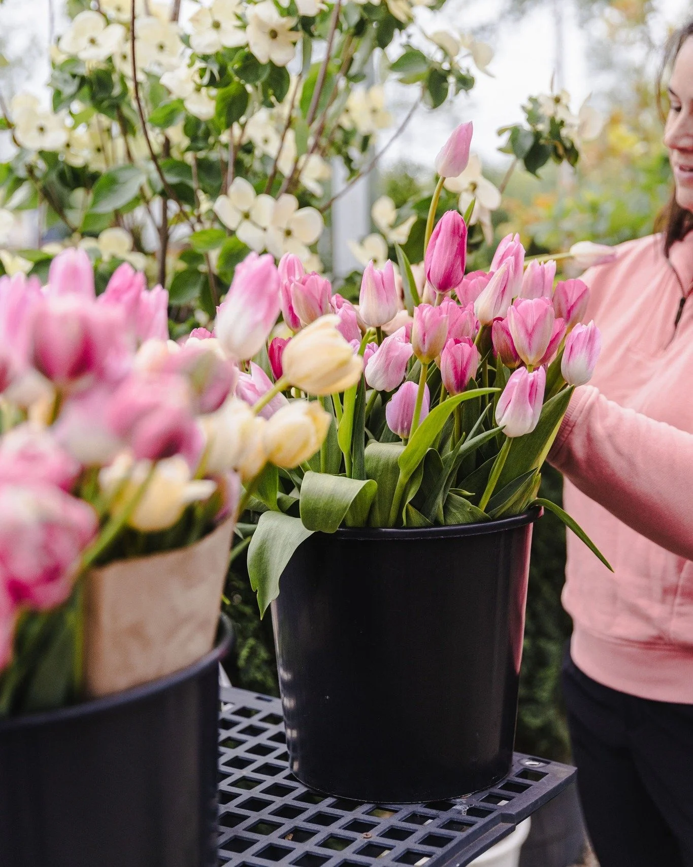 Things will be a bit quiet from me for the next few weeks as we are off on an adventure, but, that doesn't mean you can't still get your local flower fix! @flower_hub_nwi and @chicagoflowermarket  are both opening for the season April 15 and there ar