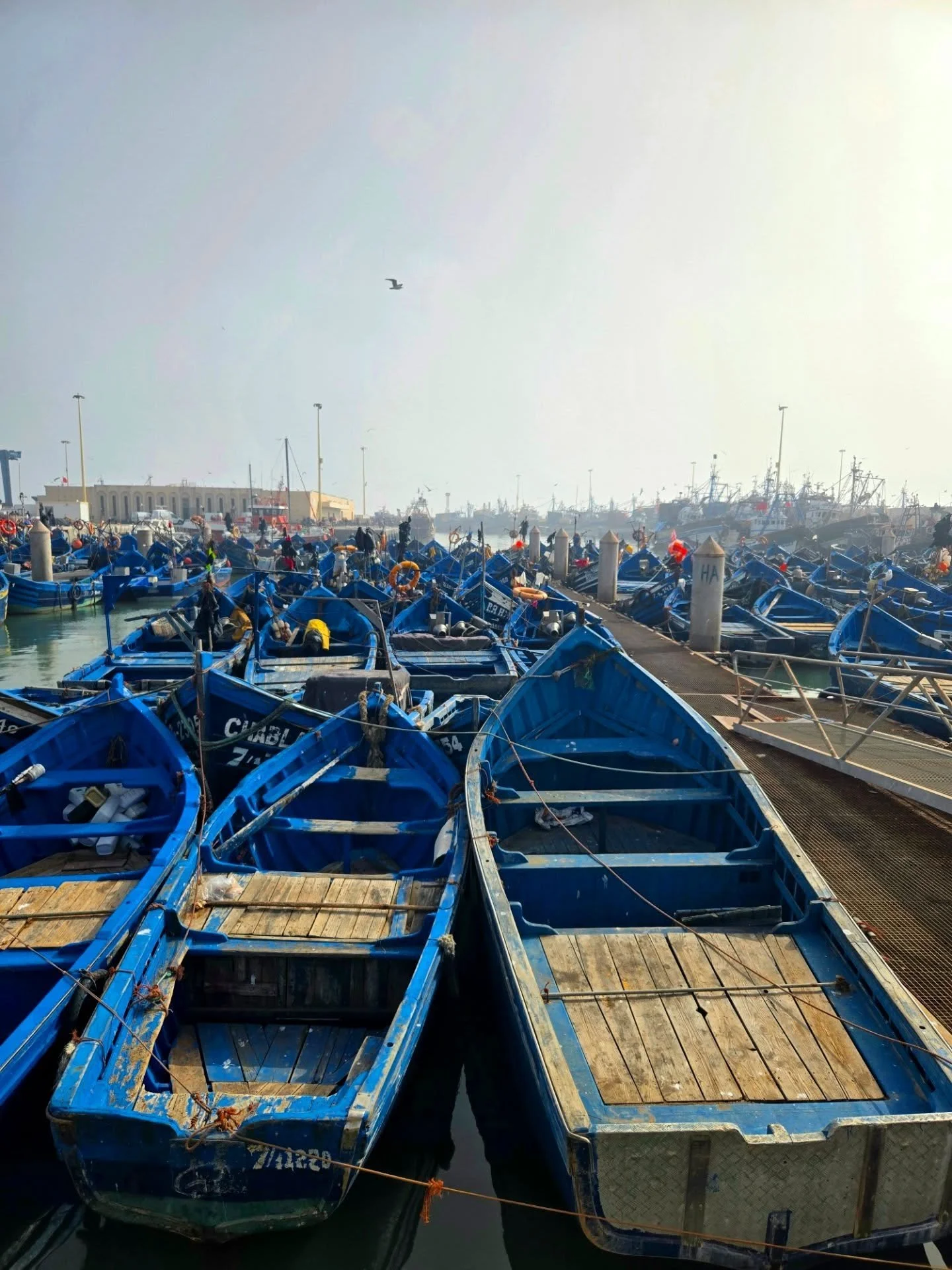 From Essaouria on the ocean to the Sahara Desert