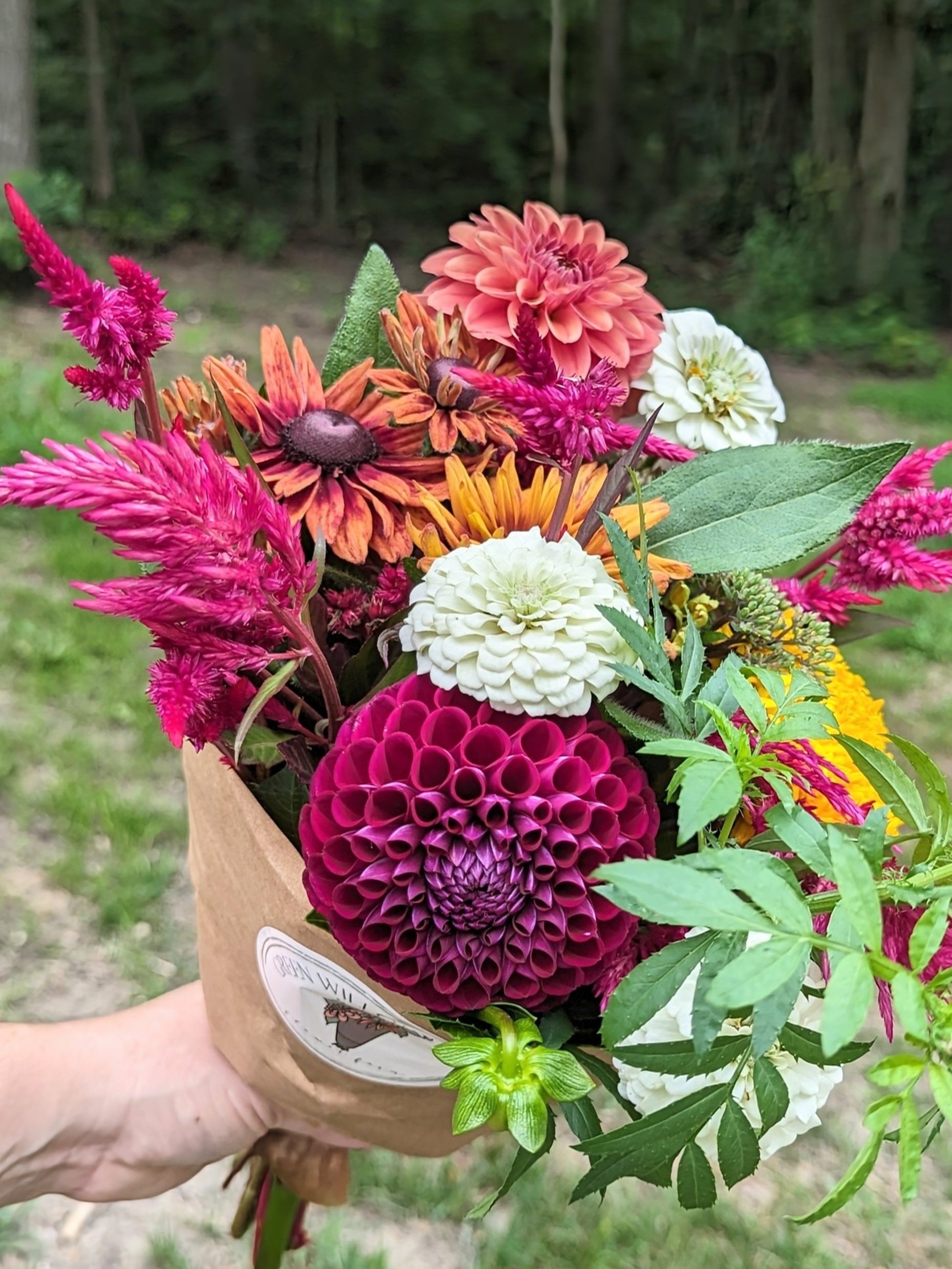 FlowerSub1.jpg