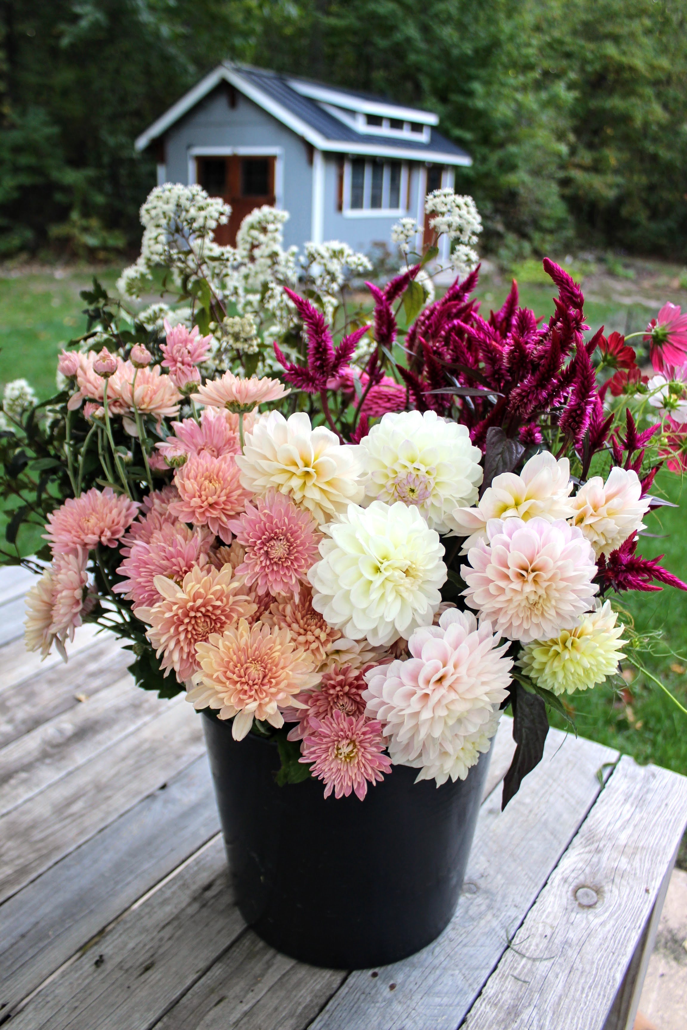 Curated Bloom Bucket