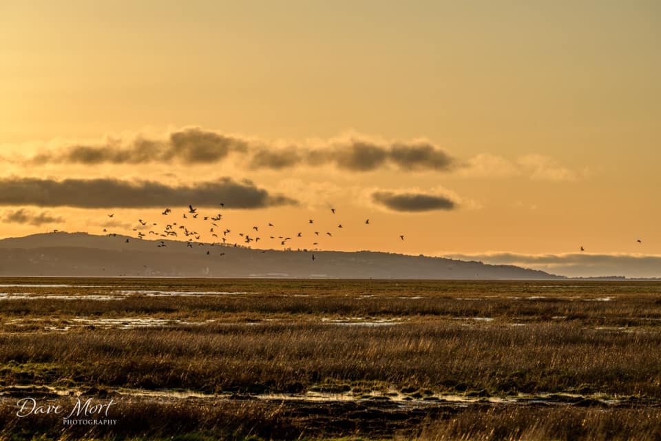 Flint from Parkgate © Dave Mort (2021)