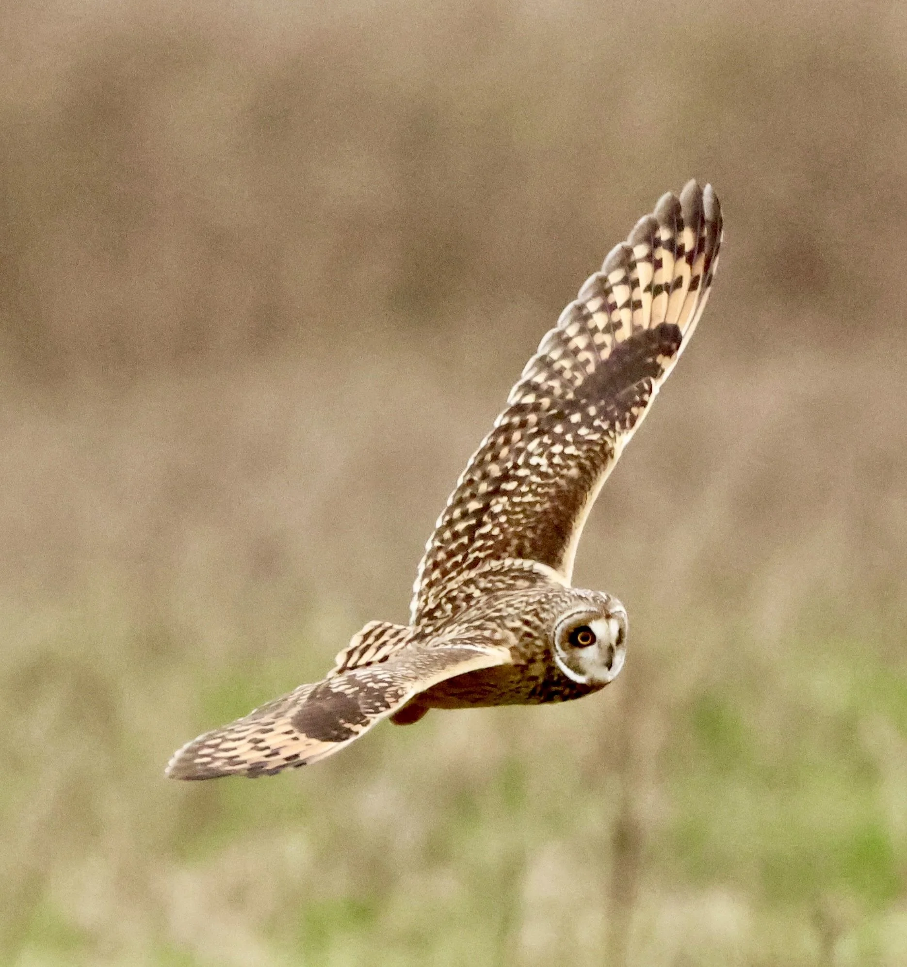 © jotandwretchedly.co.uk