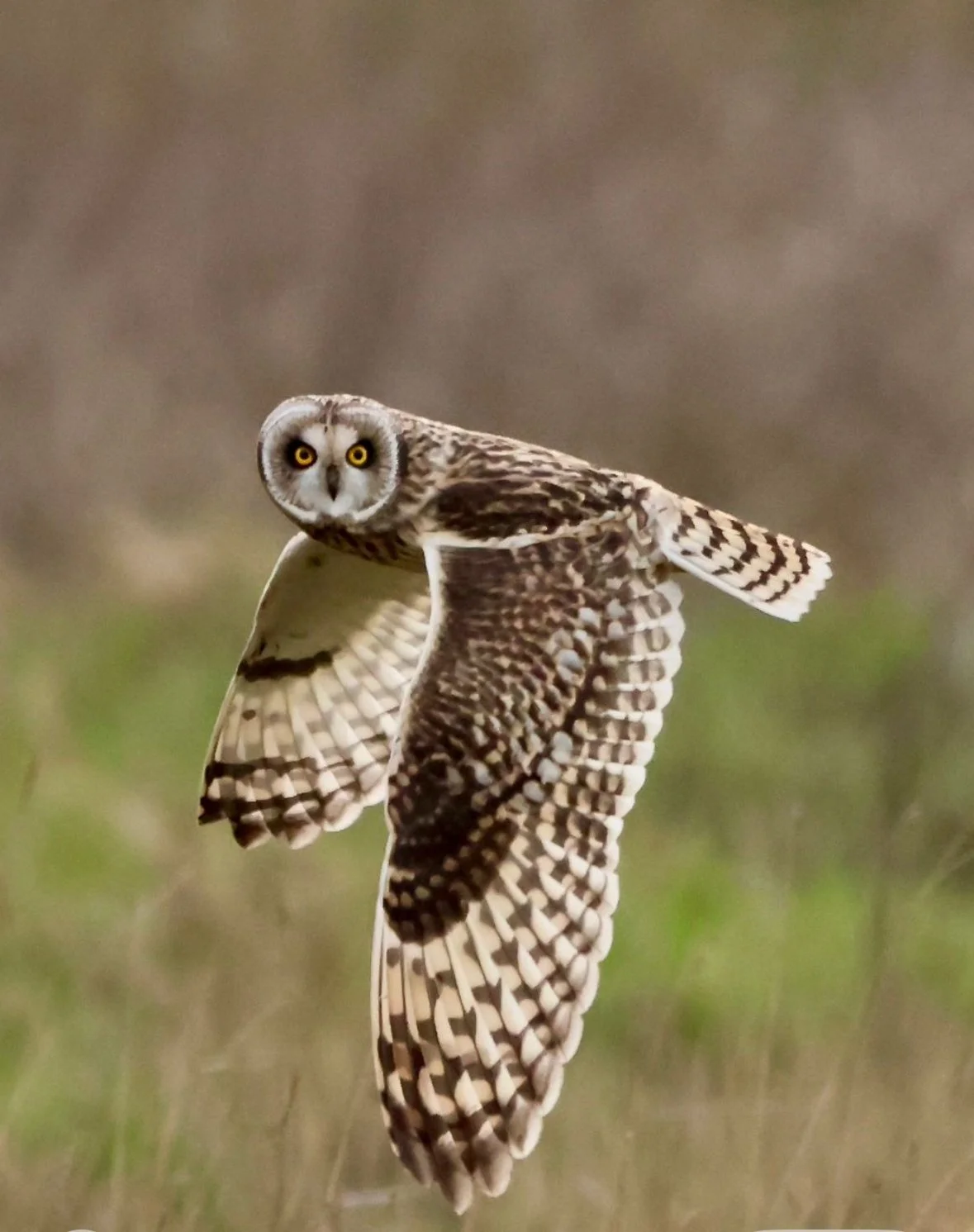 © jotandwretchedly.co.uk