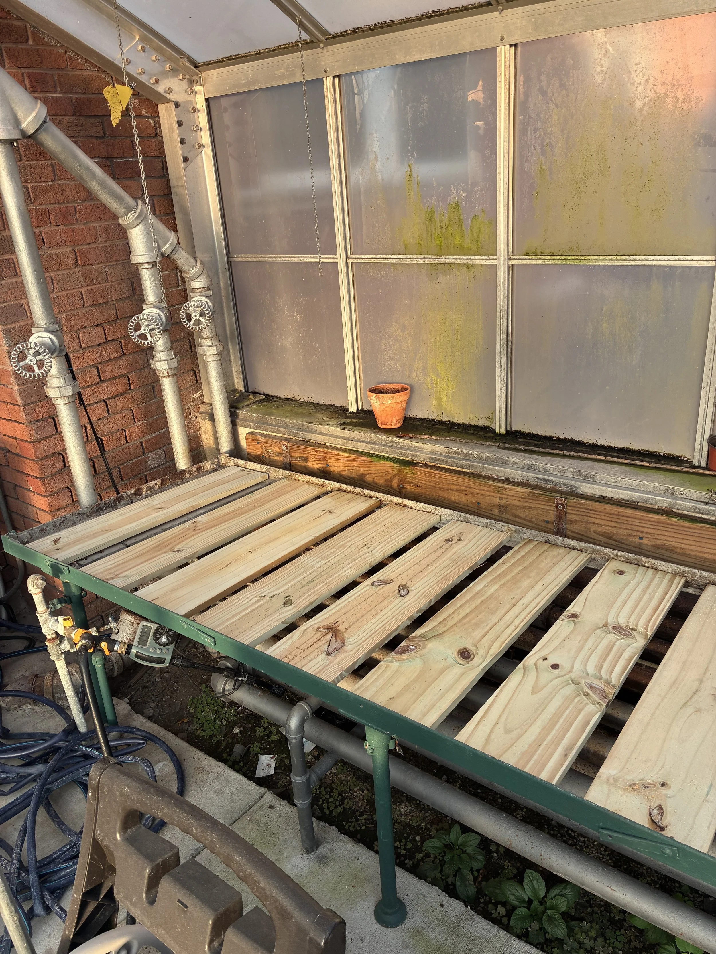 Greenhouse being built by the Workforce Development team