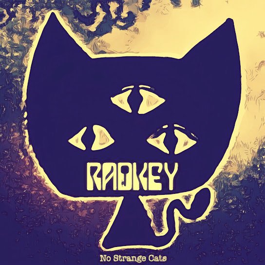 No Strange Cats album by Radkey.