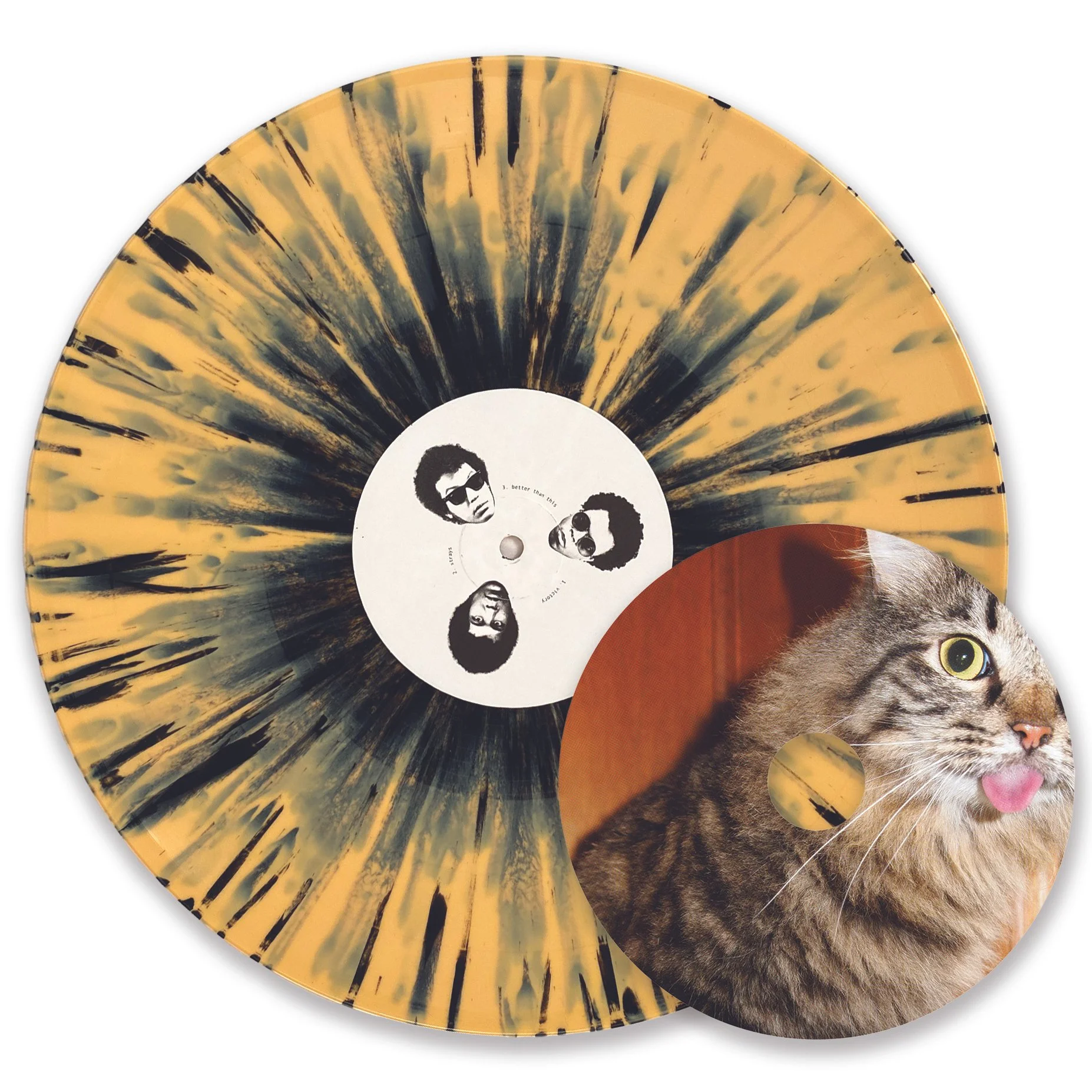 CDVINYL.jpg