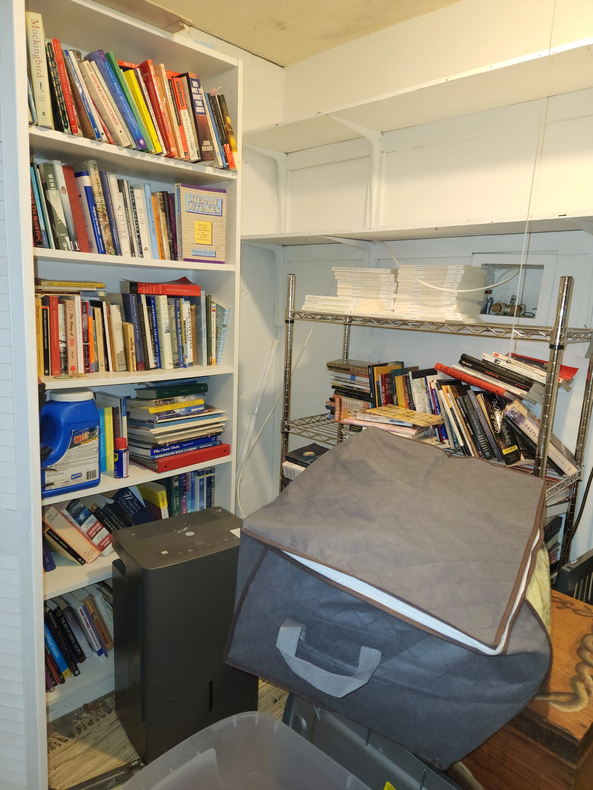 website SAJ basement before2.jpg