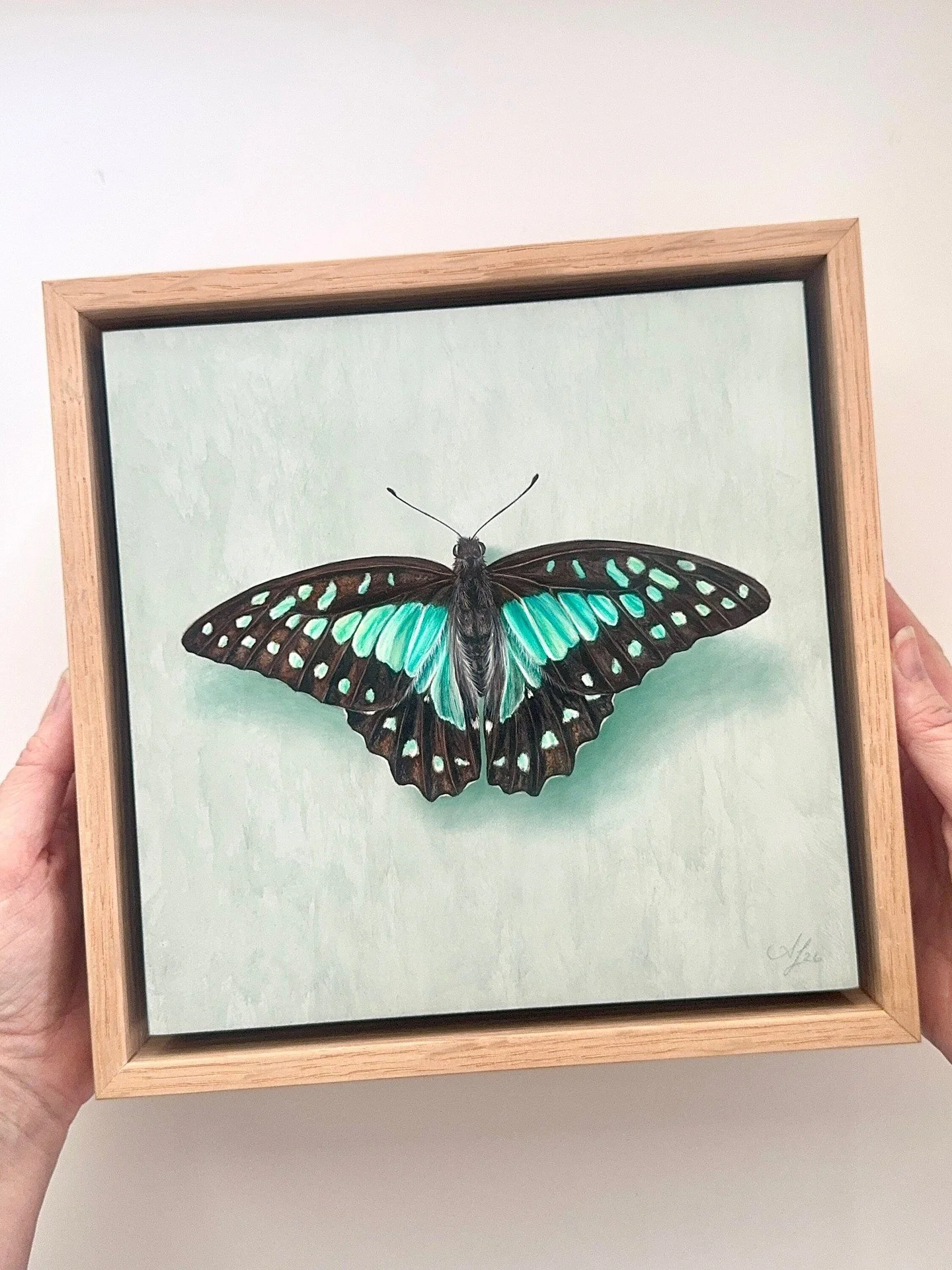 The final two beautiful butterflies from Alex Louisa&rsquo;s collection are now available online.

Created with Alex&rsquo;s incredible eye for detail, these delicate little works celebrate the extraordinary colour, pattern and beauty found in the na