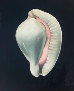 SEASHELL 2.0.jpeg