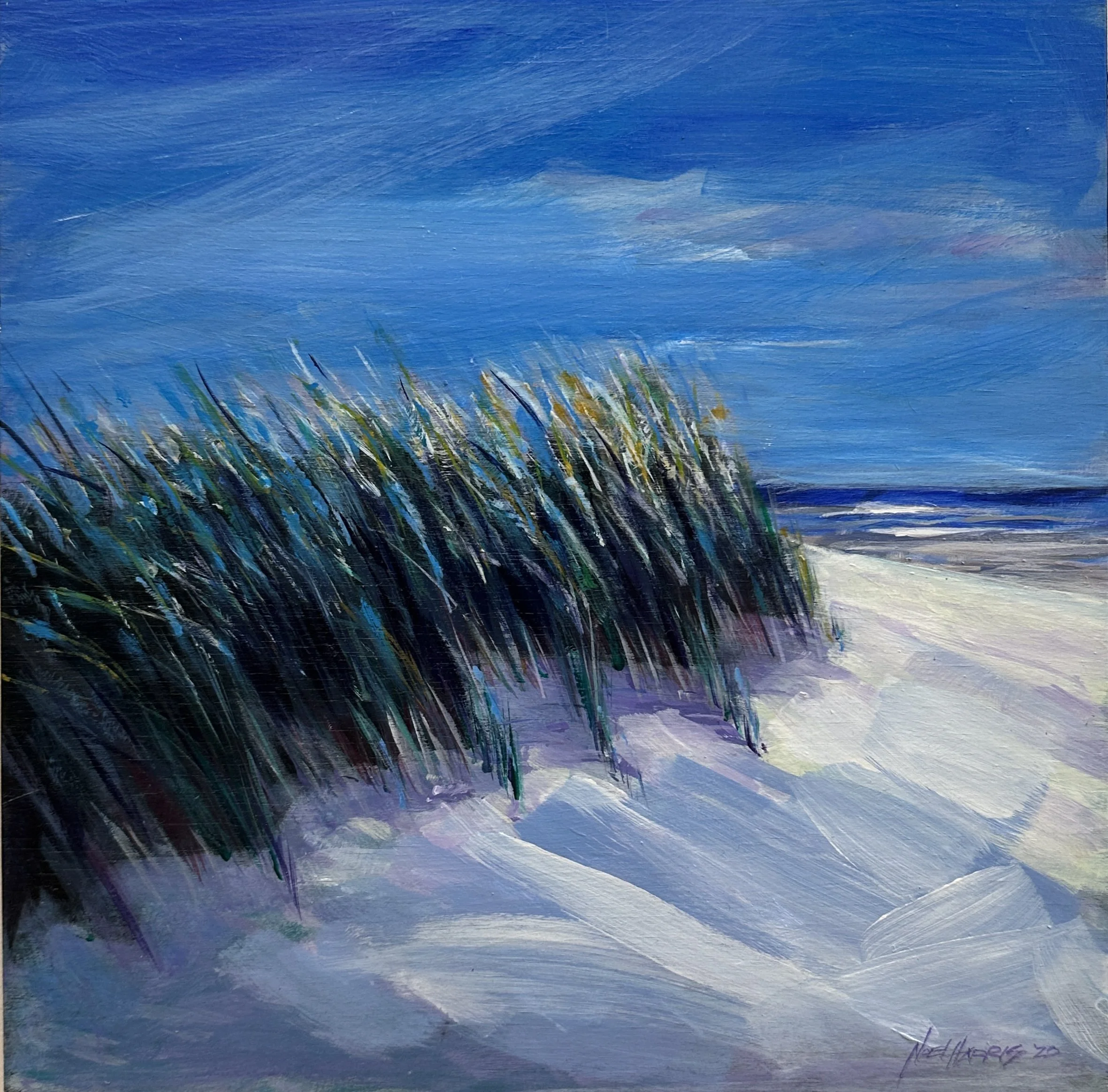 'Dunes at Peregian Beach' - Noel Harris