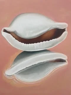 Shell Reflection - Heidi O'brien