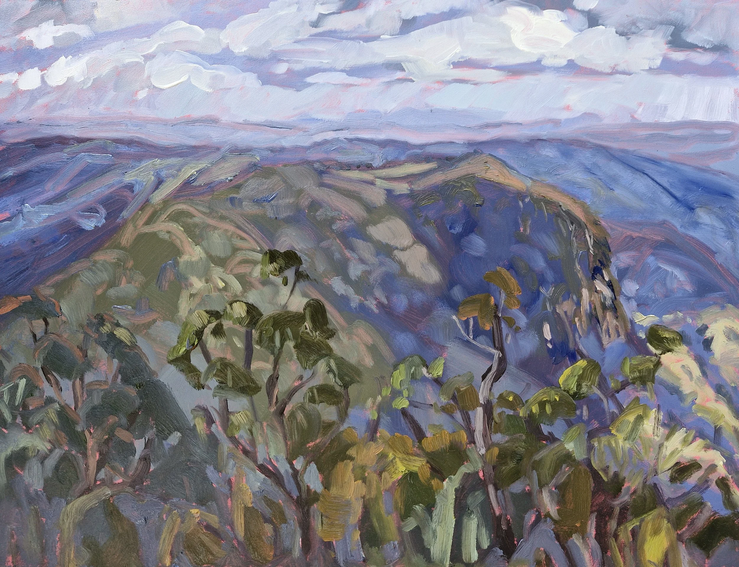 Kate Marek_Binna Burra 4_42x55cm_$850.jpg