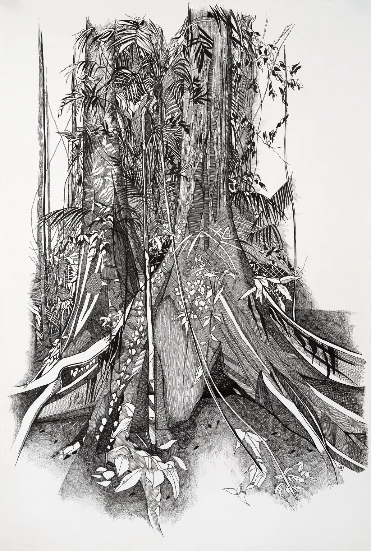 Tillsley_Sascha_Looking in_pen on paper.jpg