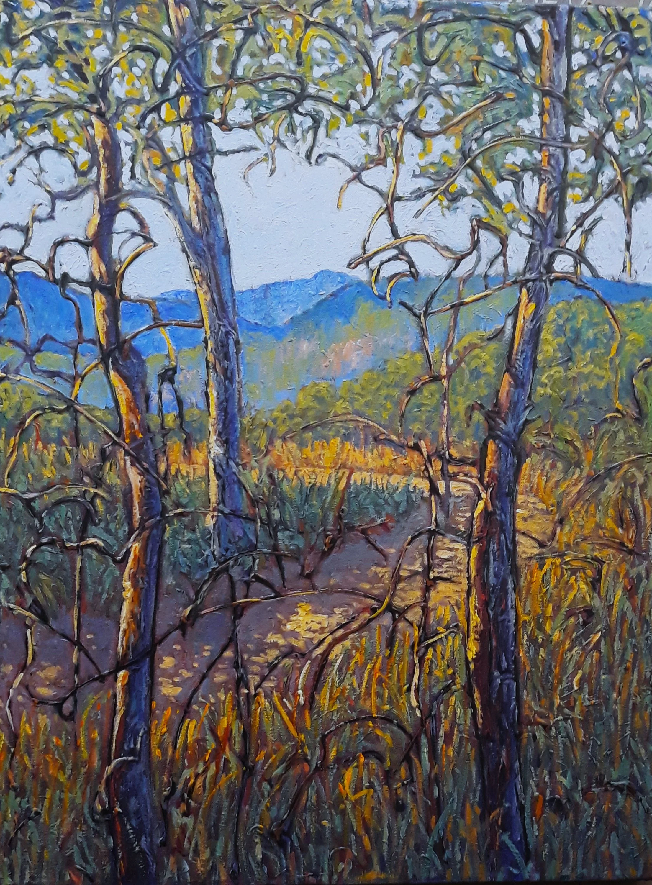 Bush Trail - Wayne Smith