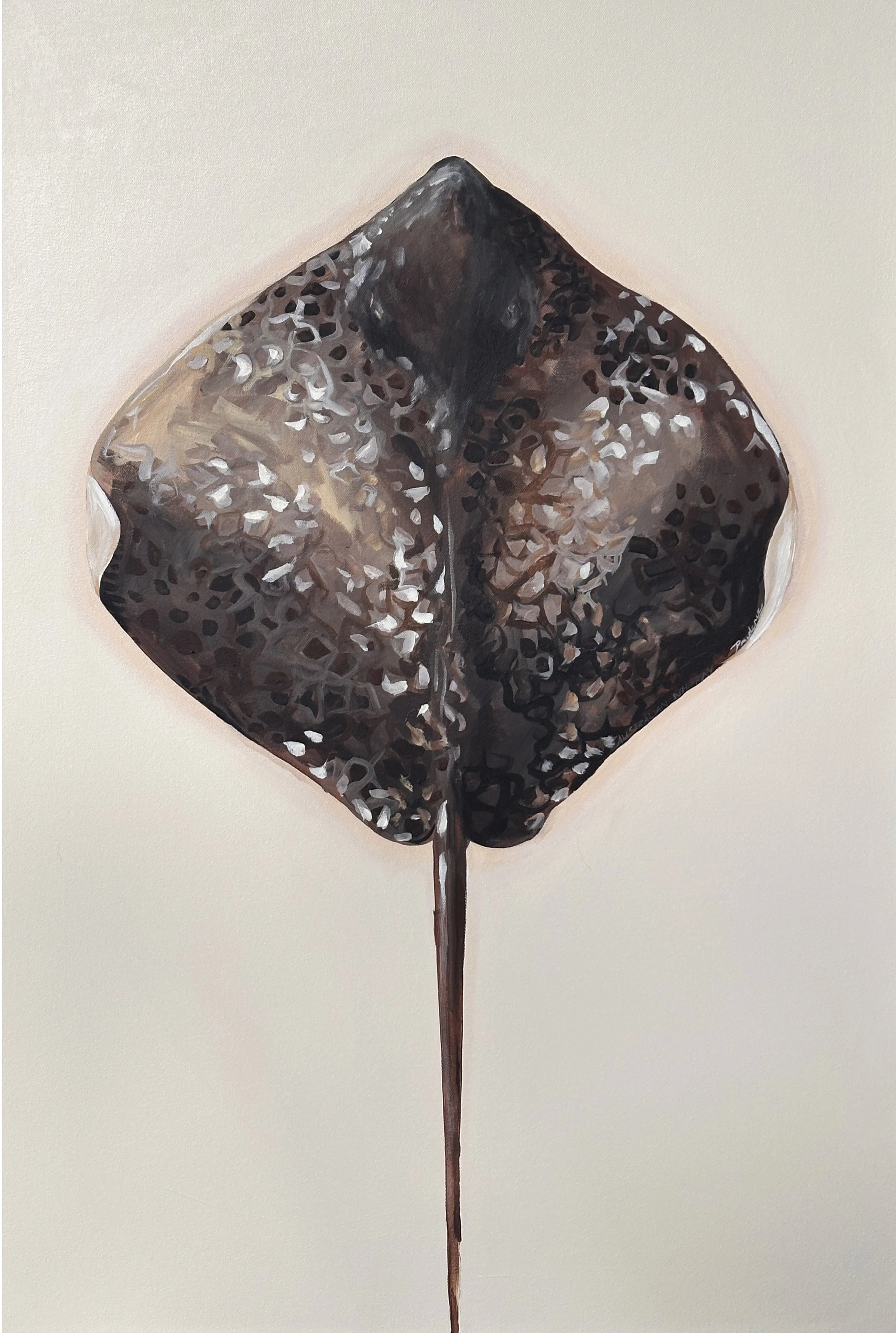 PrudenceCoburn_Exploration of Rays #6_94x63cm_$1850.jpg