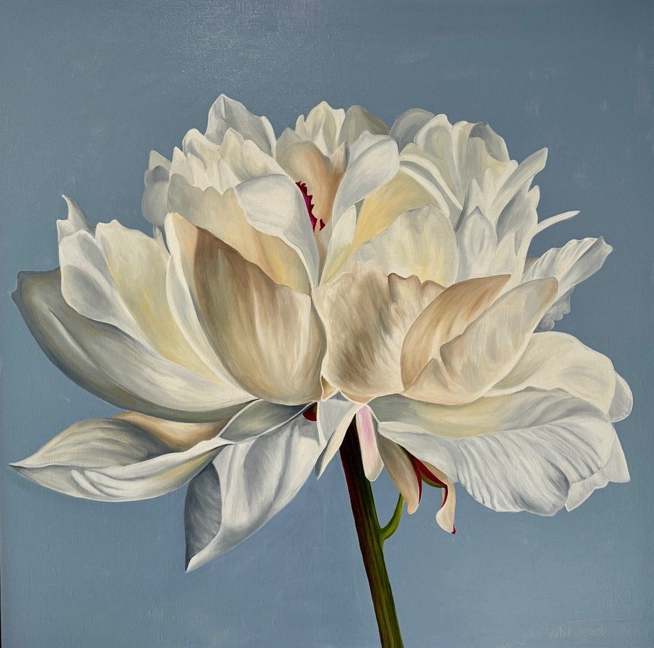 Delicate Peony 1 - Julie Whitehead