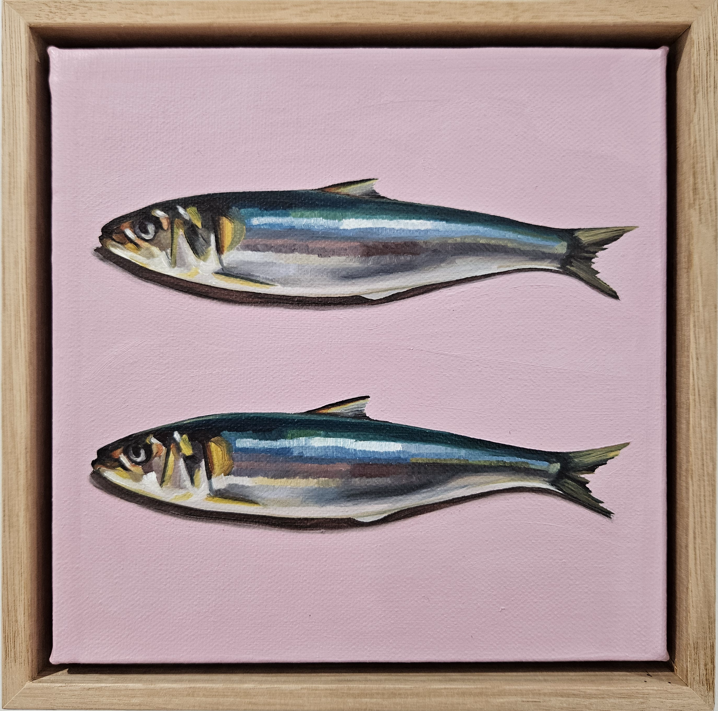 Keanna-Belle Sacilotto- Baby Pink Sardines- 20x20(cm).png