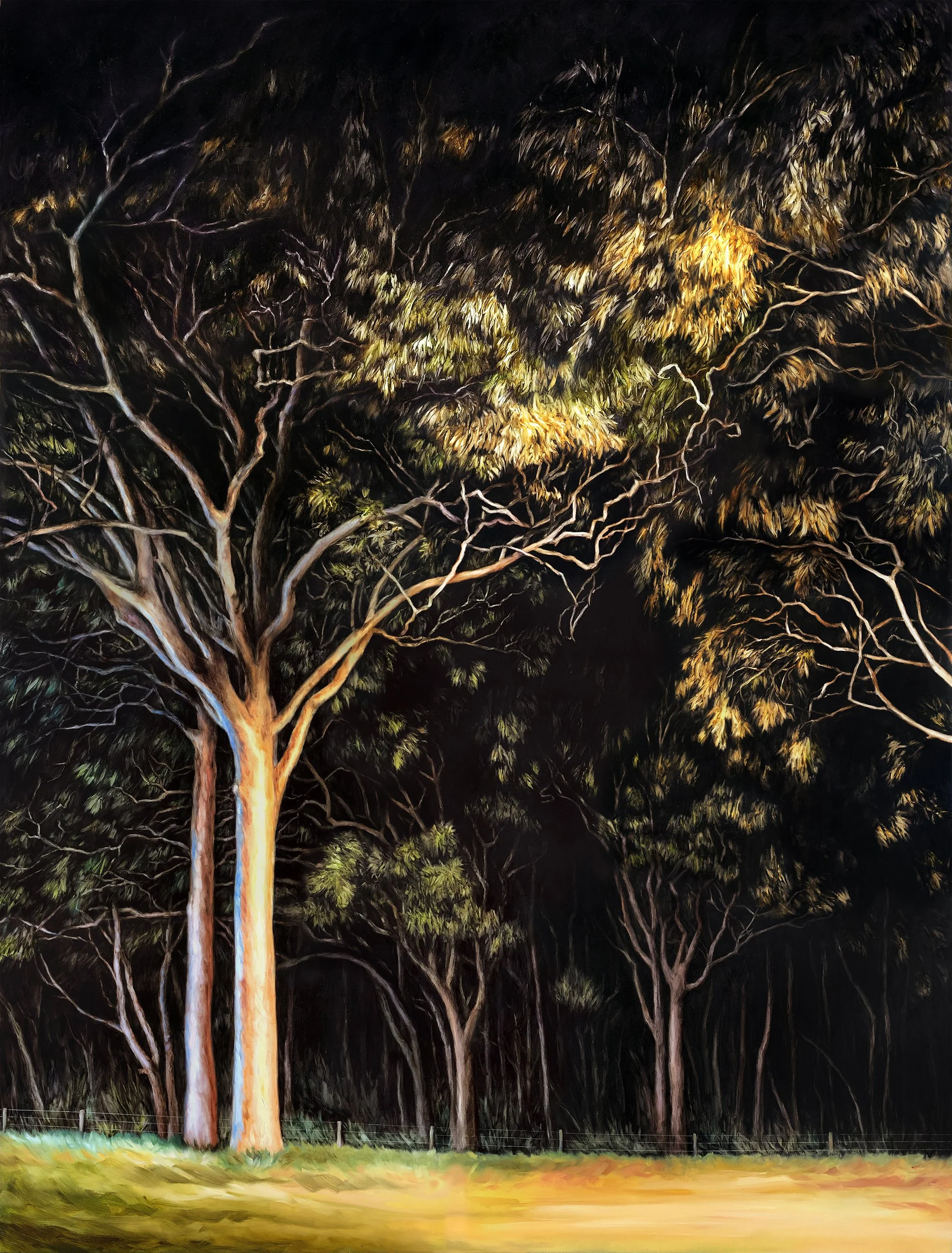Alex Louisa_Floodlit_76x100cm_$3500.jpg