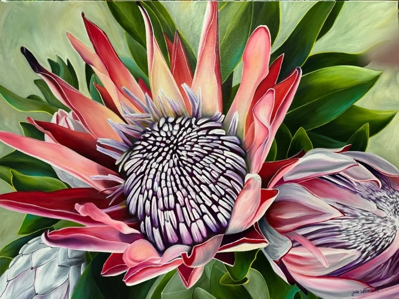 Protea - Julie Whitehead