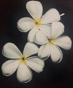 PLUMERIA.jpeg
