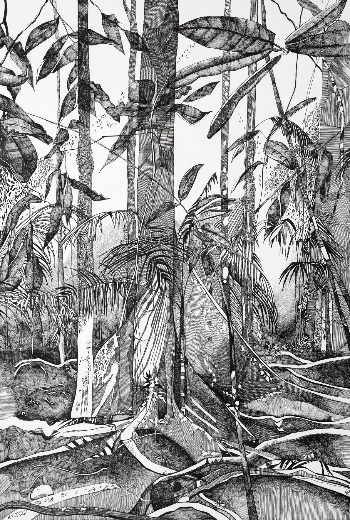 Tillsley_Sascha_Deep Within_pen on paper.jpg