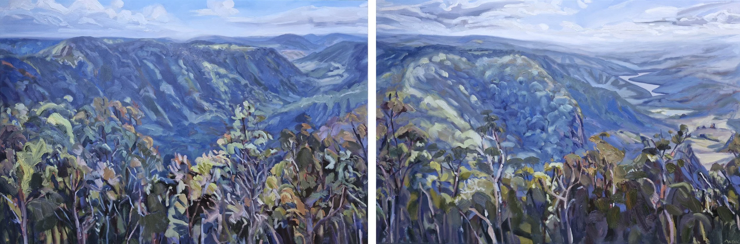 Binna Burra Outlook Diptych - Kate Marek