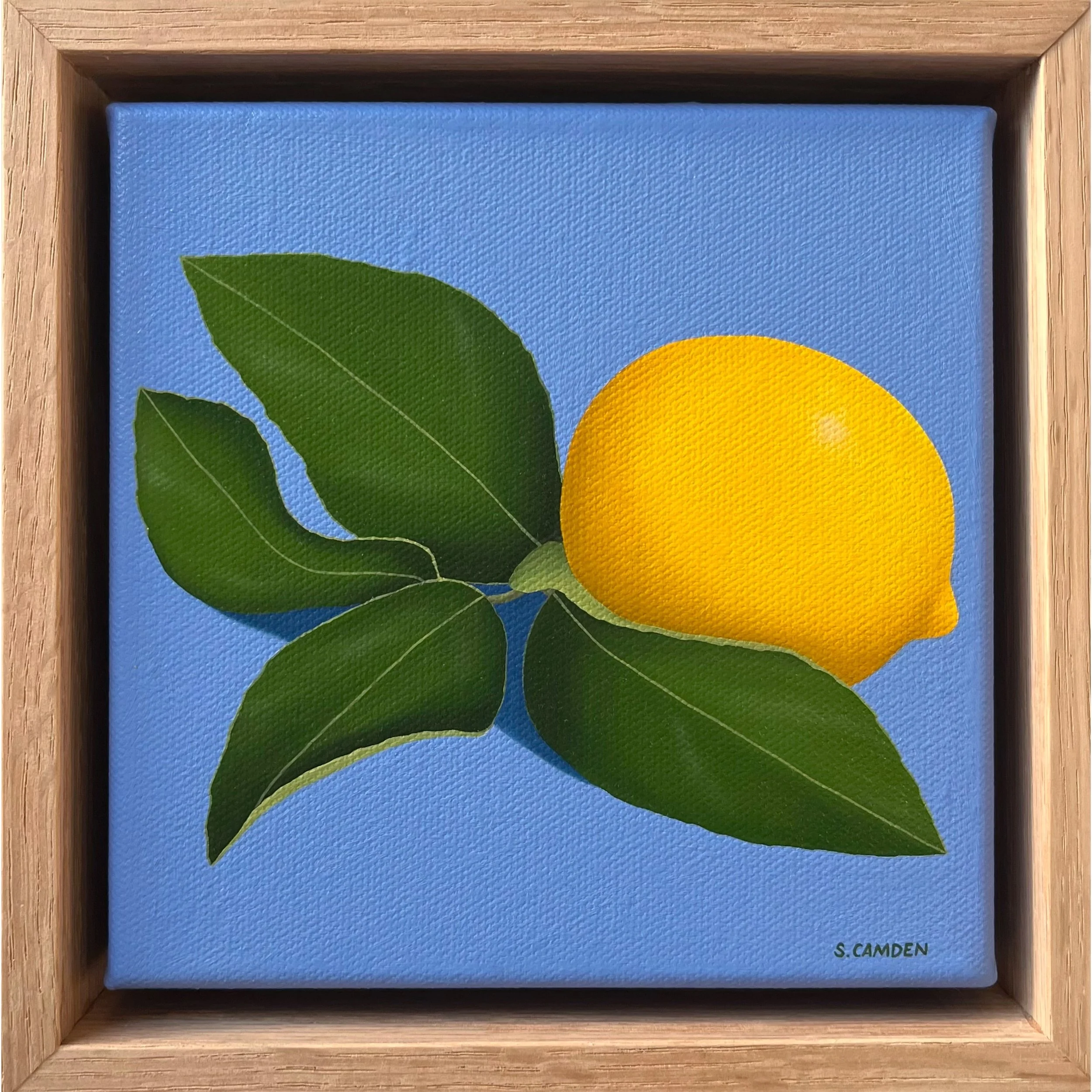 Leafy Lemon III - Shannon Camden