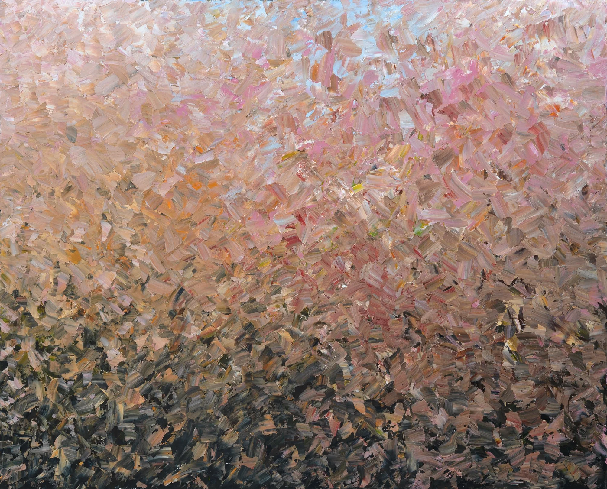 Stevens Street Gallery-Andrew Hillhouse-Across the Plain-120 x150-$4,800.jpg
