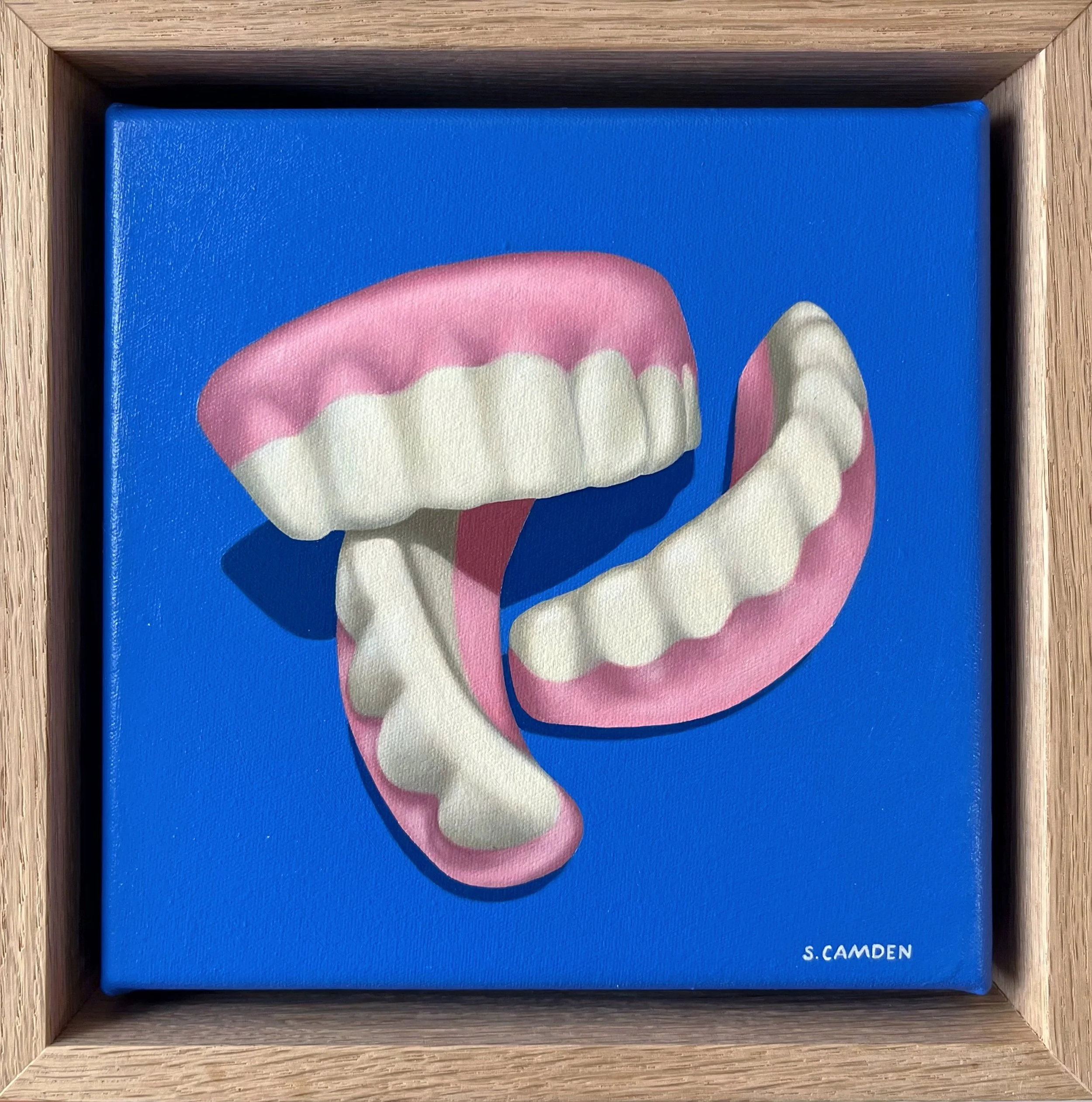 Shannon Camden_Lolly Teeth II (Framed)_18x18cm_$370.jpg