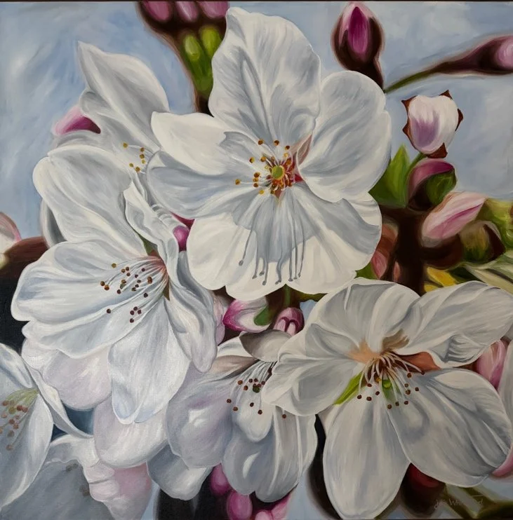 Cherry Blossom - Julie Whitehead