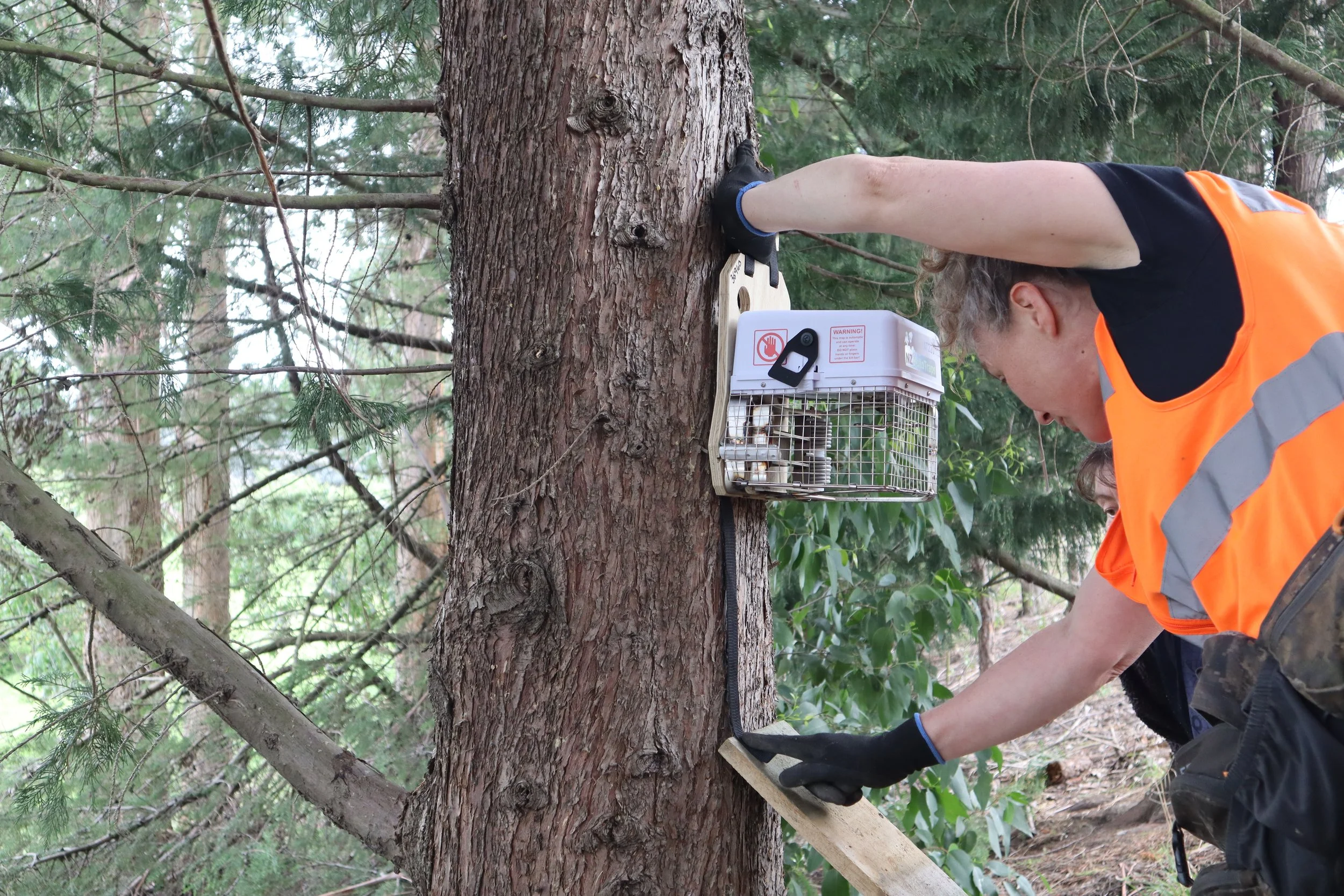 The AT220 is designed to drip mayonnaise lure onto the runner board below, perfect for enticing possums! | 📷 R Olsen