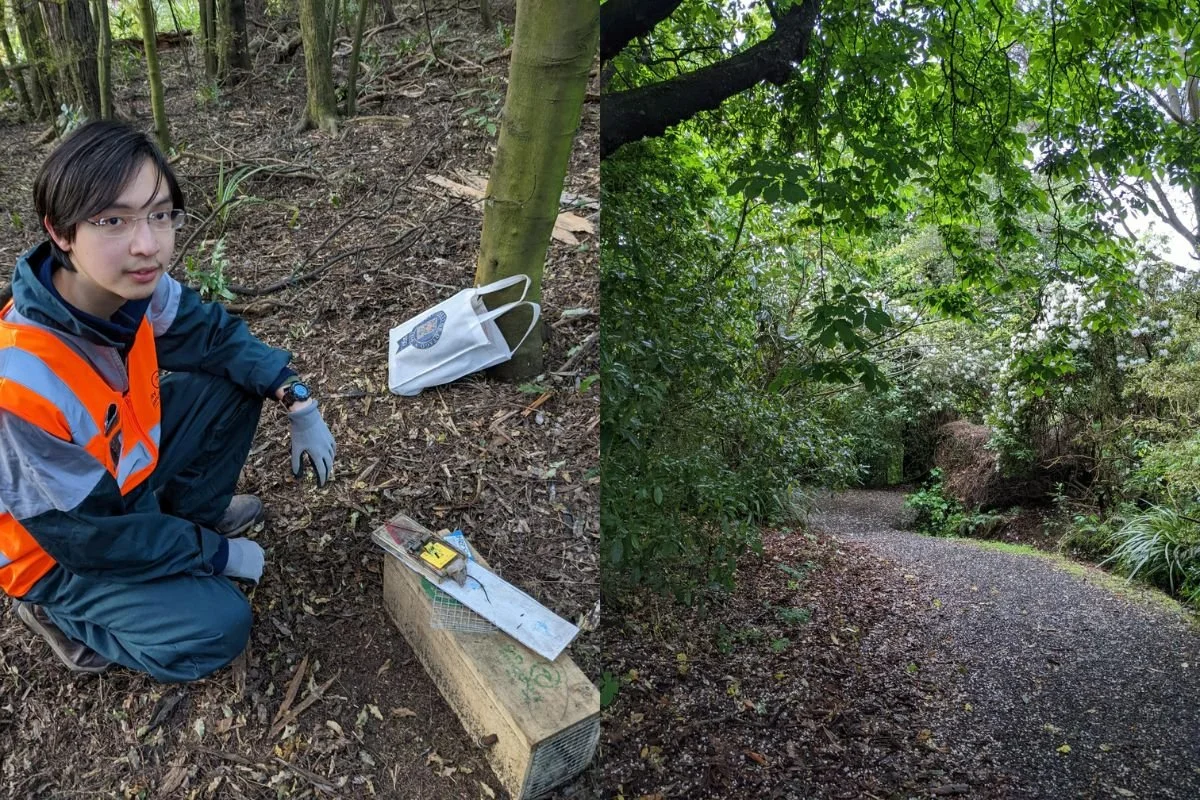 Walk In Traps Volunteer stories: A walk in the park checking traps — City Sanctuary
