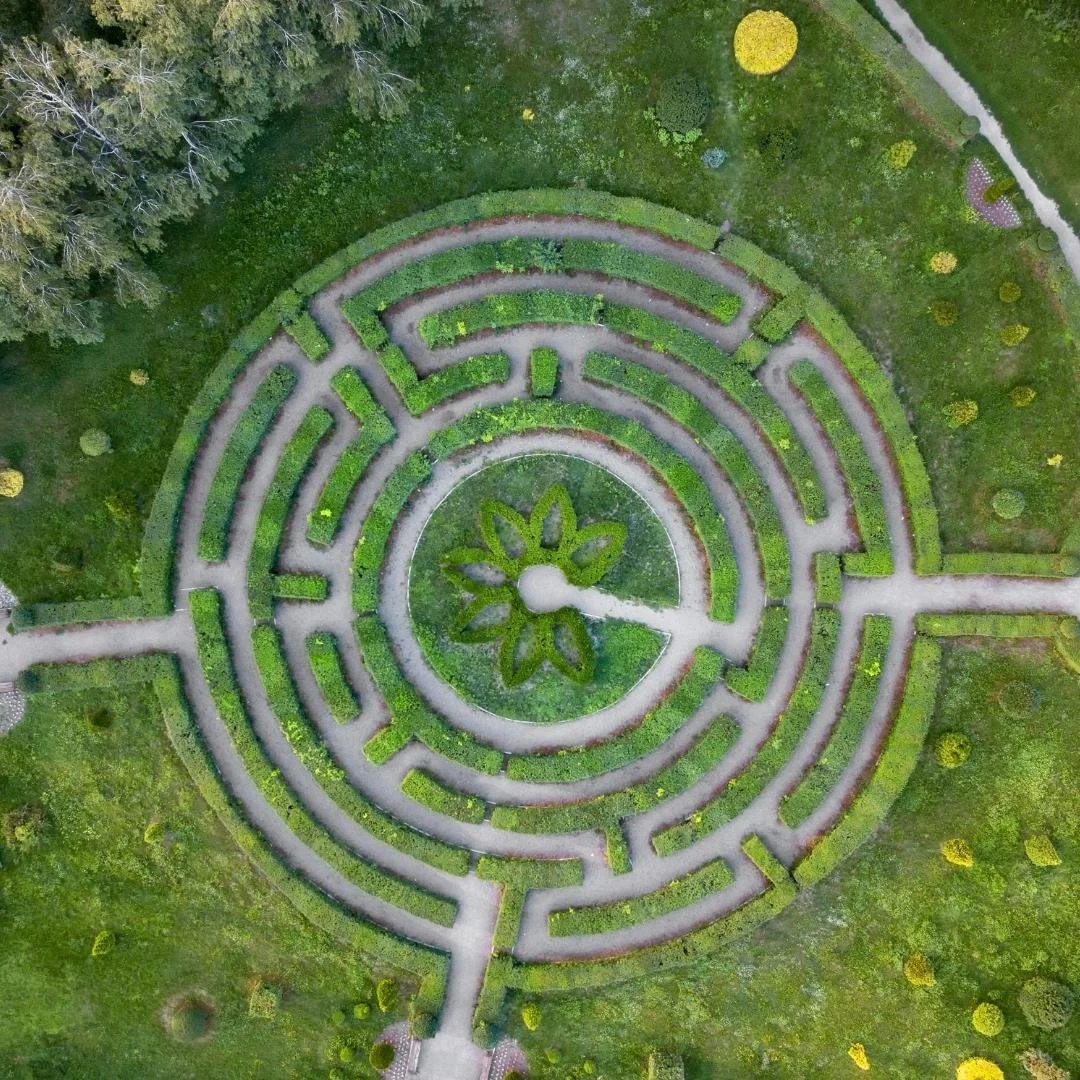 botanical-maze.jpg