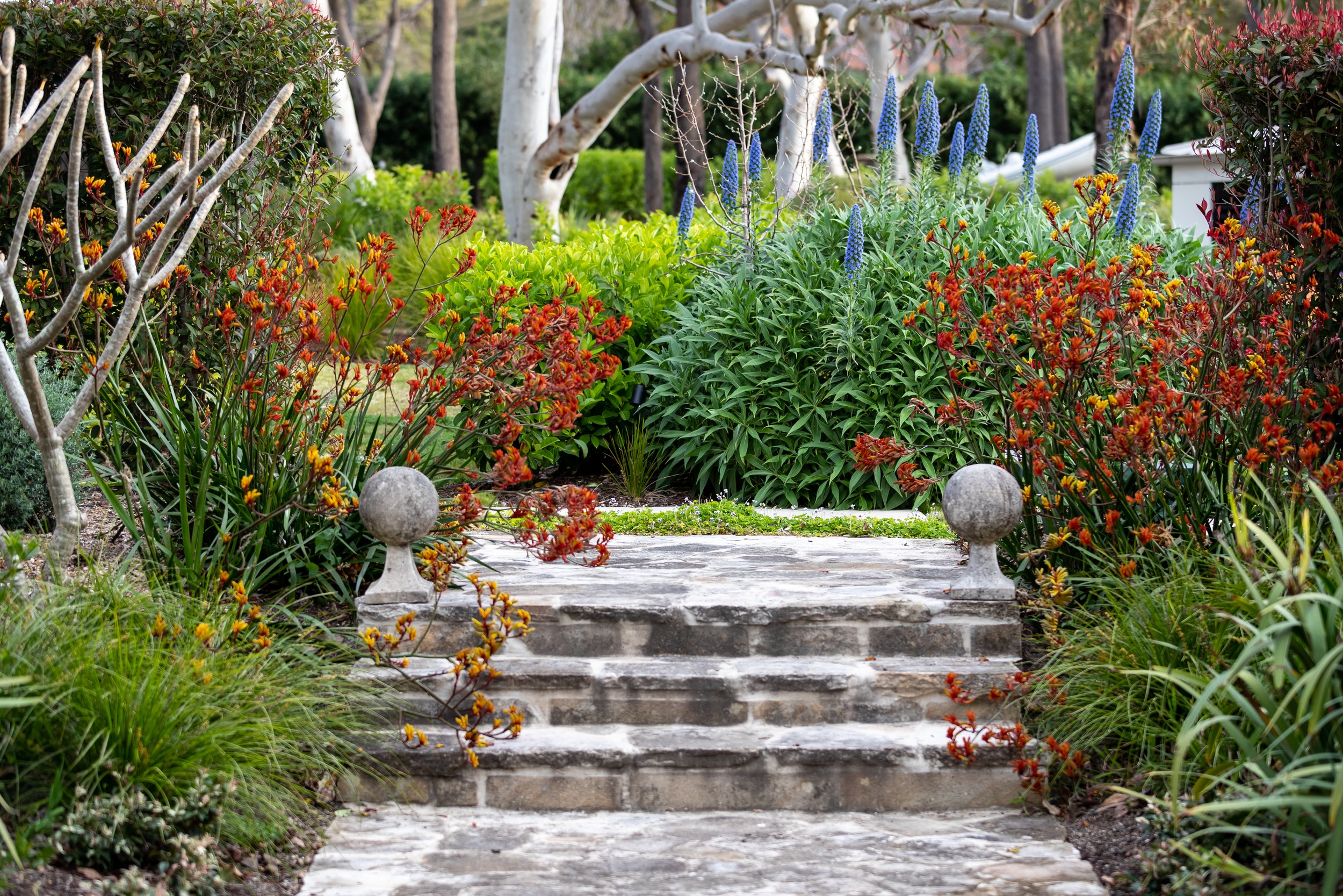 200903-0207.jpg