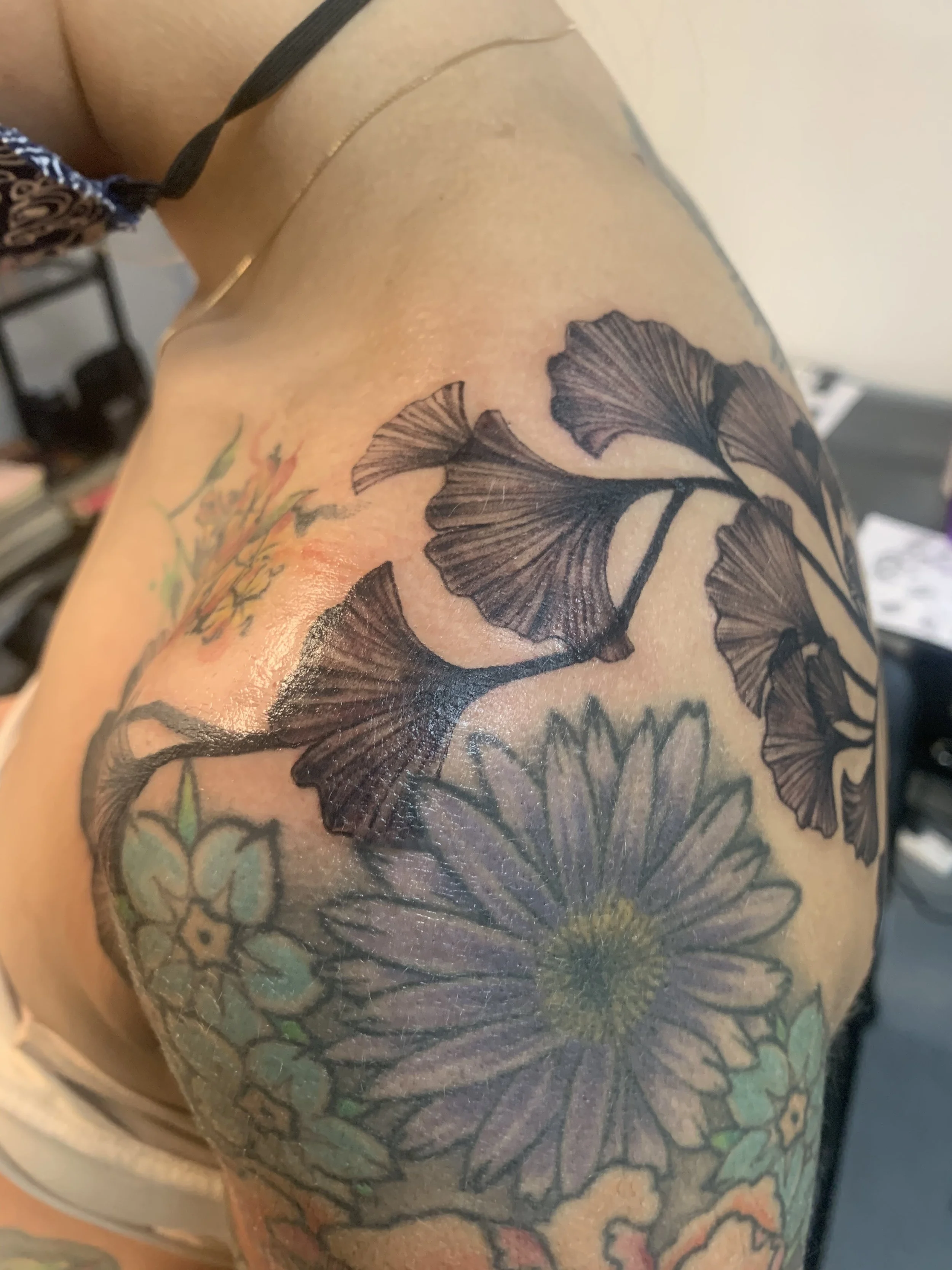 Gingko leaves 2.jpeg