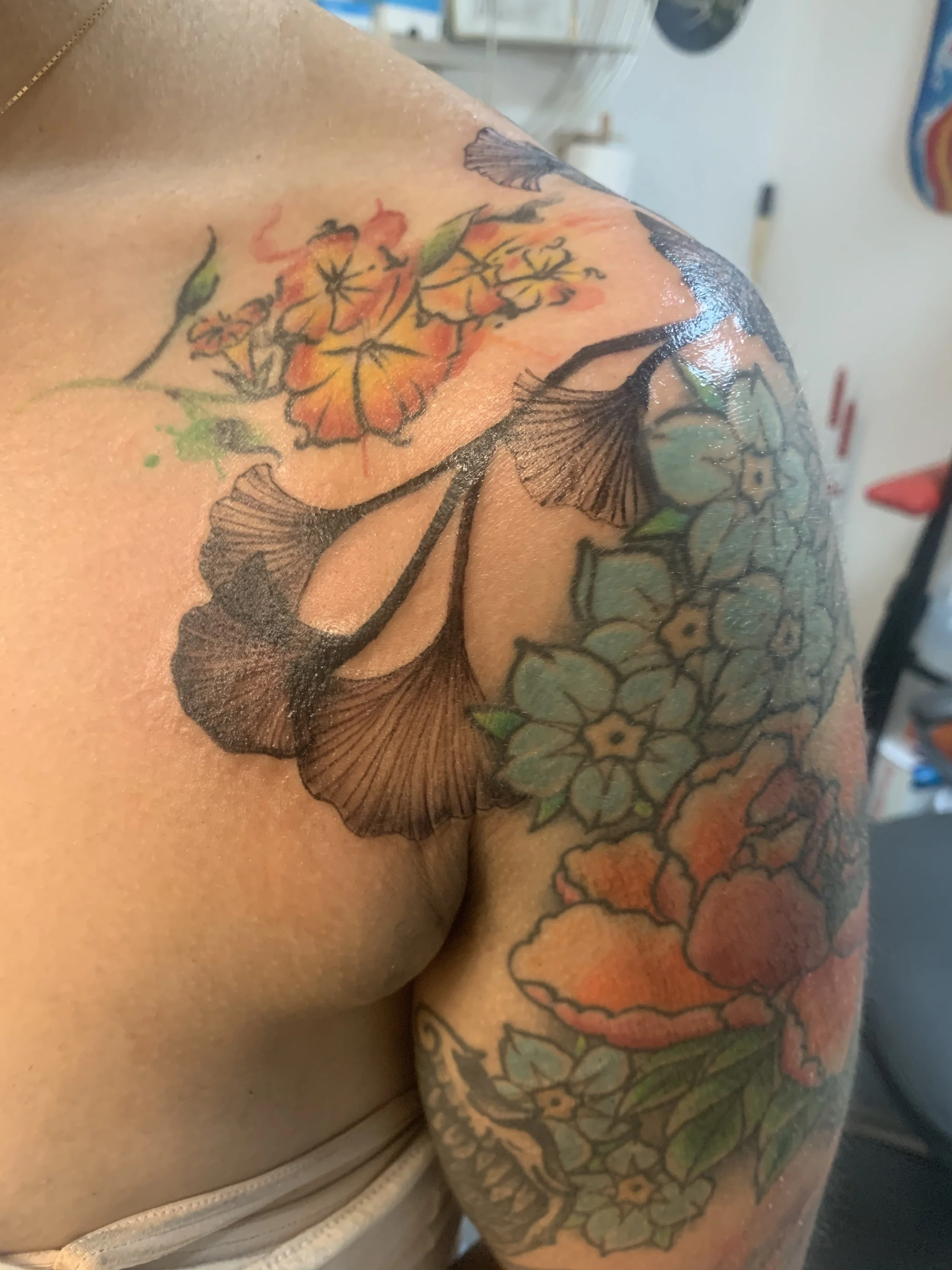 Gingko leaves 3.jpeg