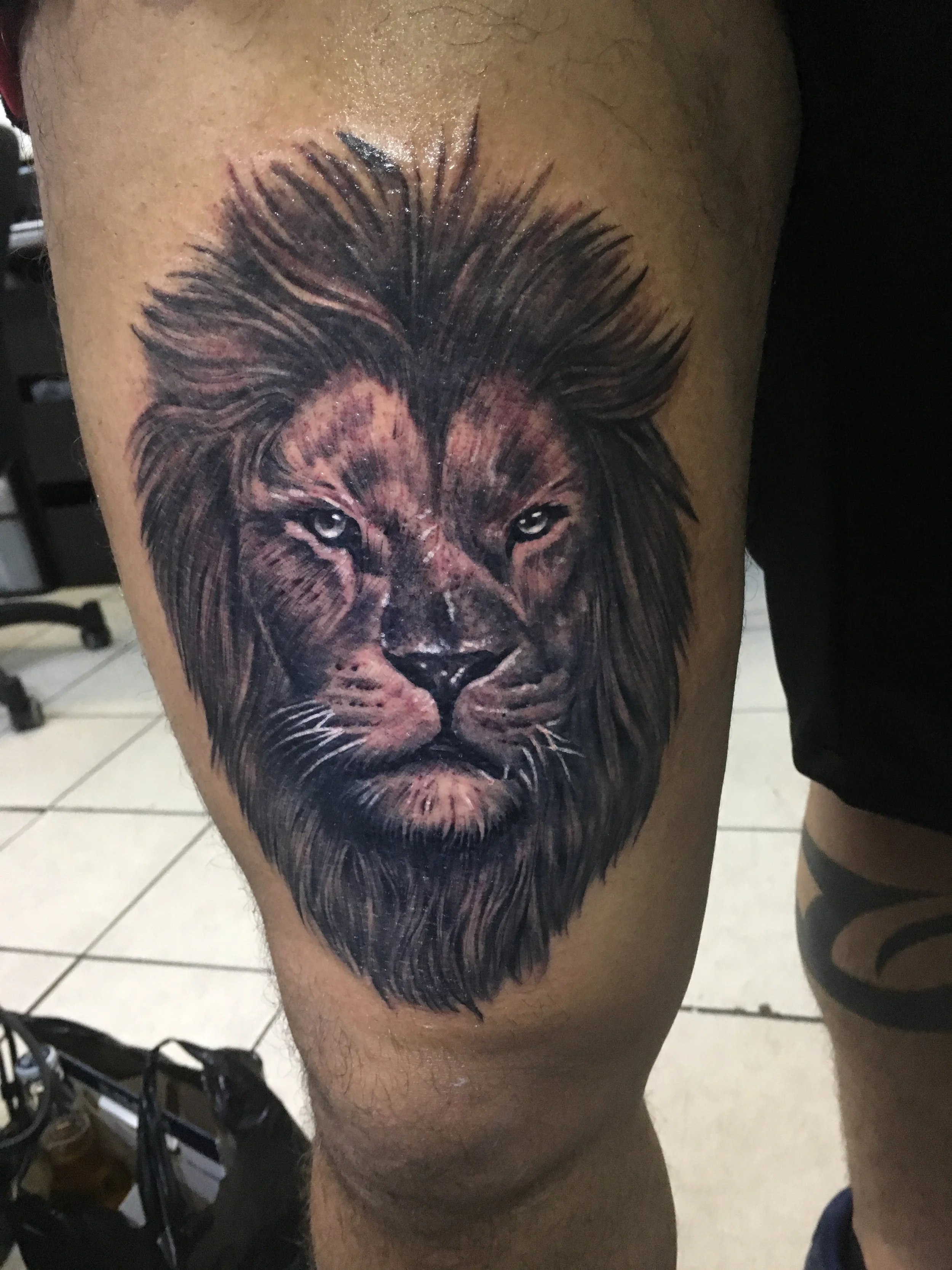 Lion with White.JPG