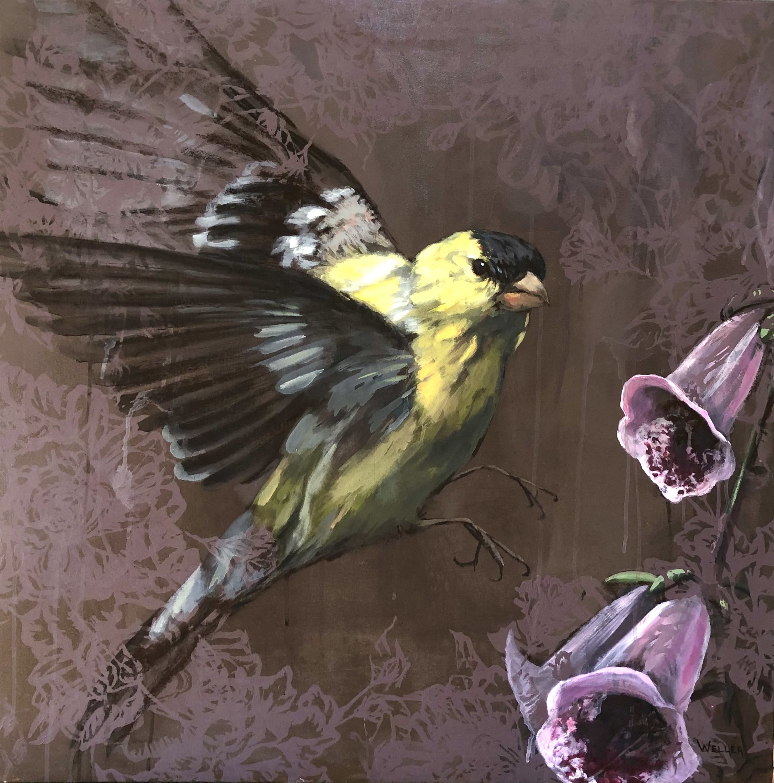 Yellowfinch and Foxglove 36x36"