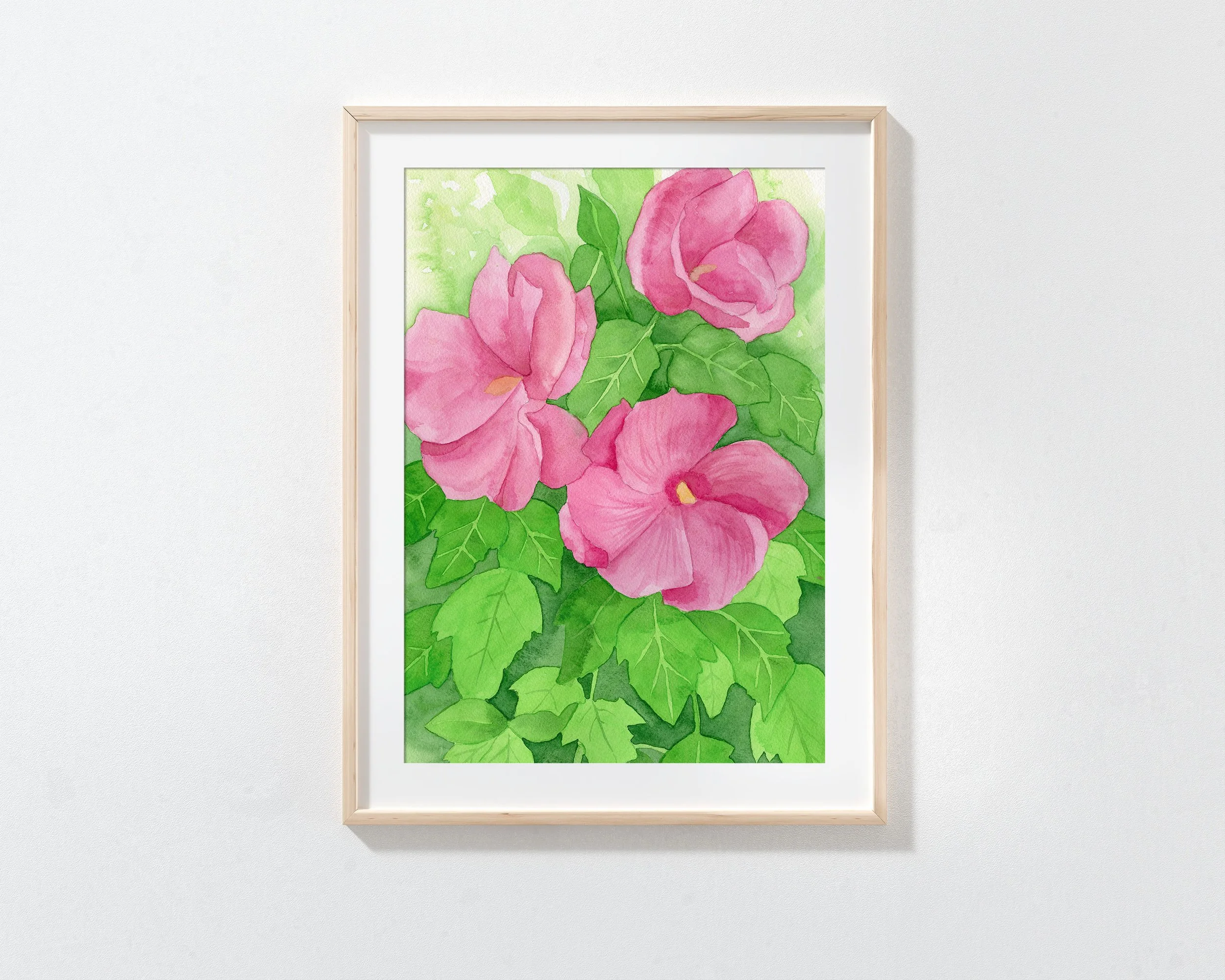 Hibiscus5B.jpg