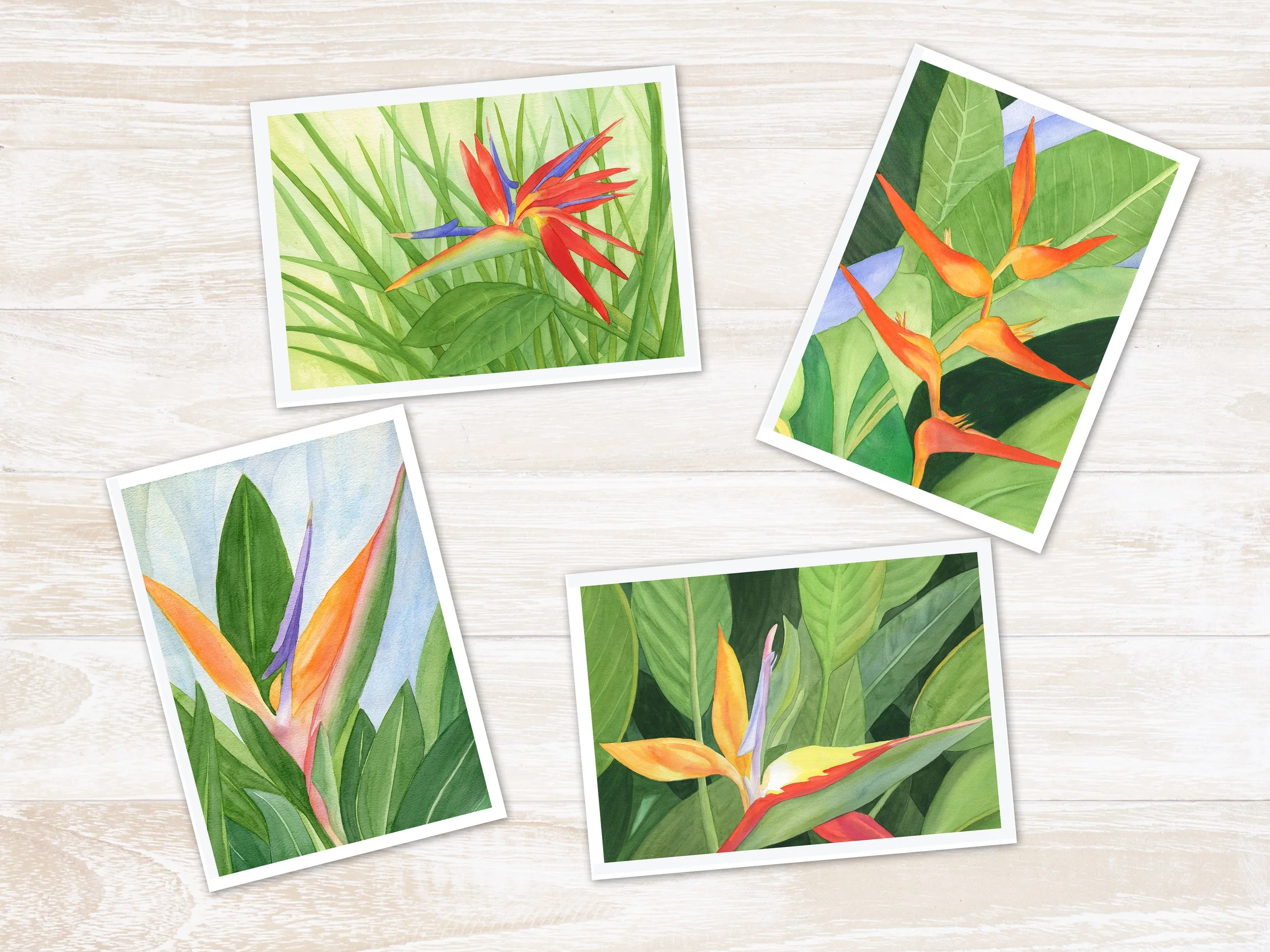 Bird of Paradise Notecards - Set of Eight